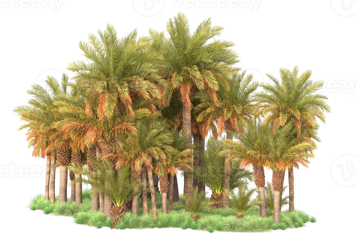 Tropical forest isolated on transparent background. 3d rendering - illustration png