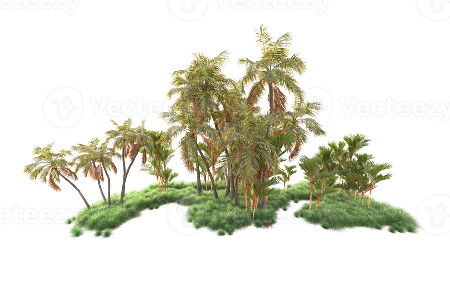 Tropical forest isolated on transparent background. 3d rendering - illustration png
