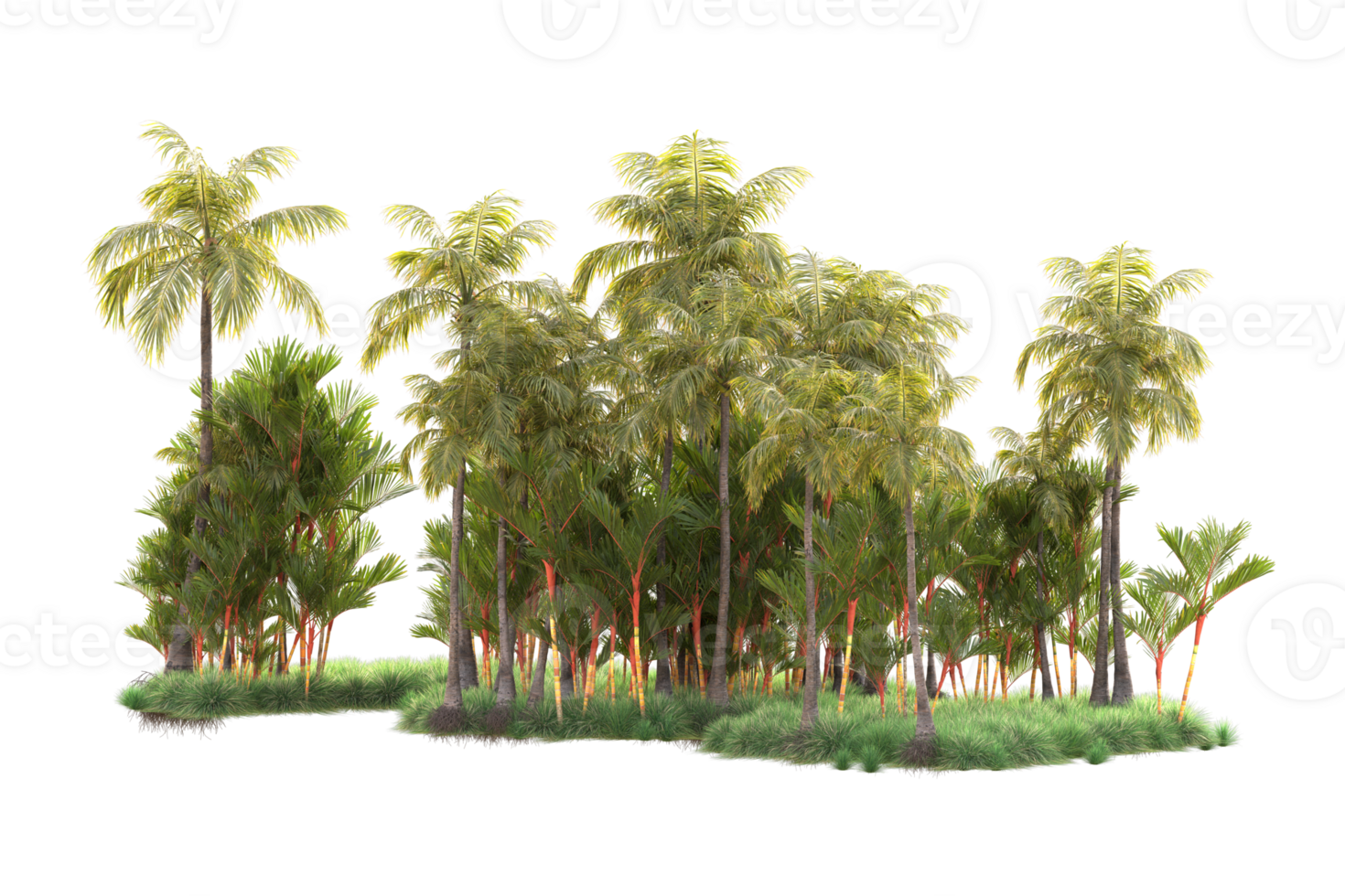 Tropical forest isolated on transparent background. 3d rendering - illustration png