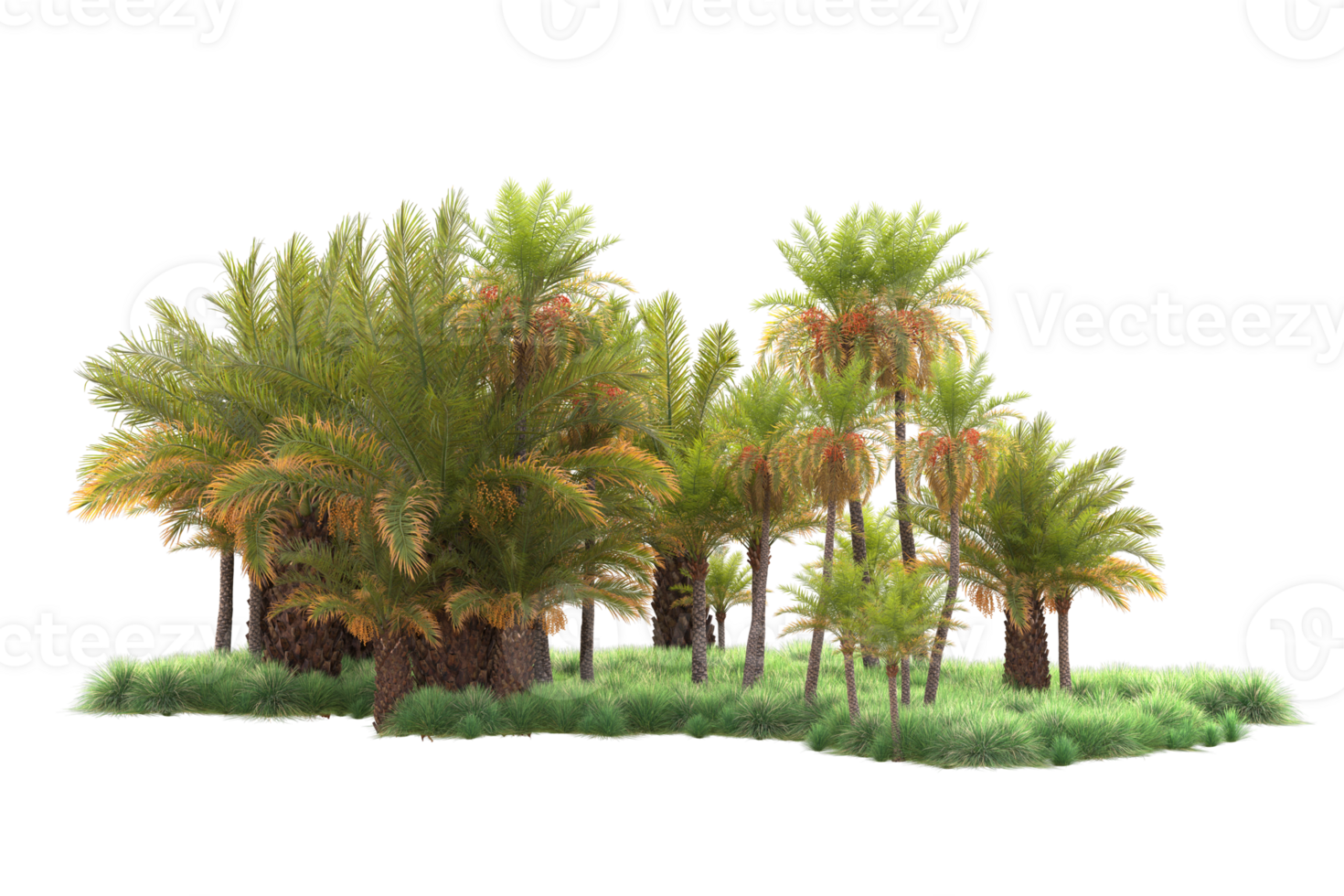 Tropical forest isolated on transparent background. 3d rendering - illustration png