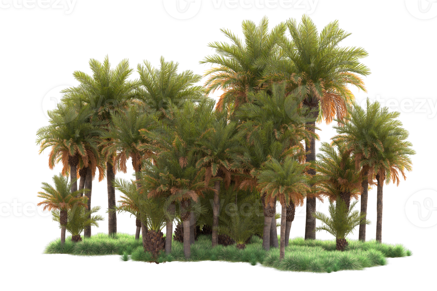 Tropical forest isolated on transparent background. 3d rendering - illustration png