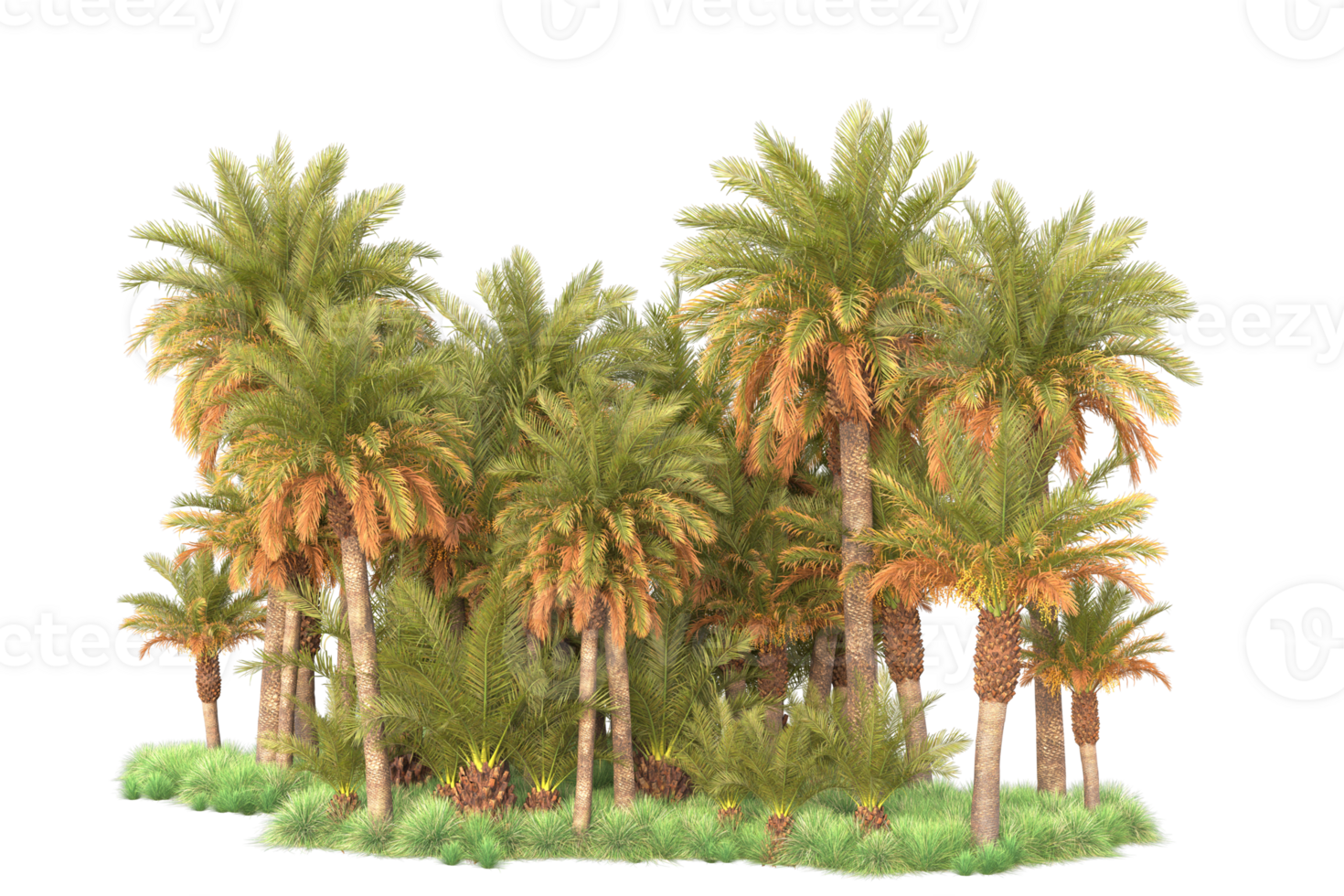 Tropical forest isolated on transparent background. 3d rendering - illustration png