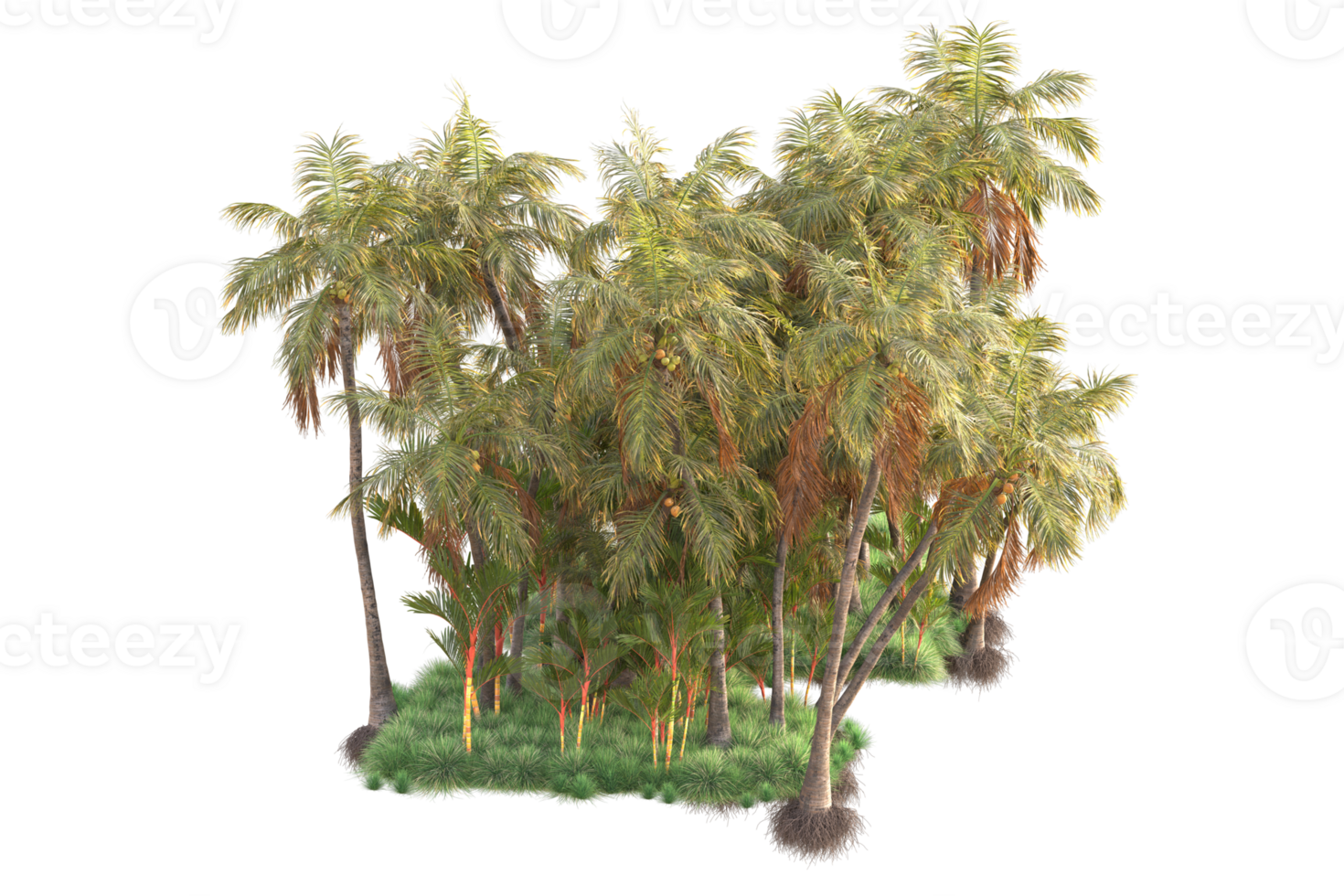 Tropical forest isolated on transparent background. 3d rendering - illustration png