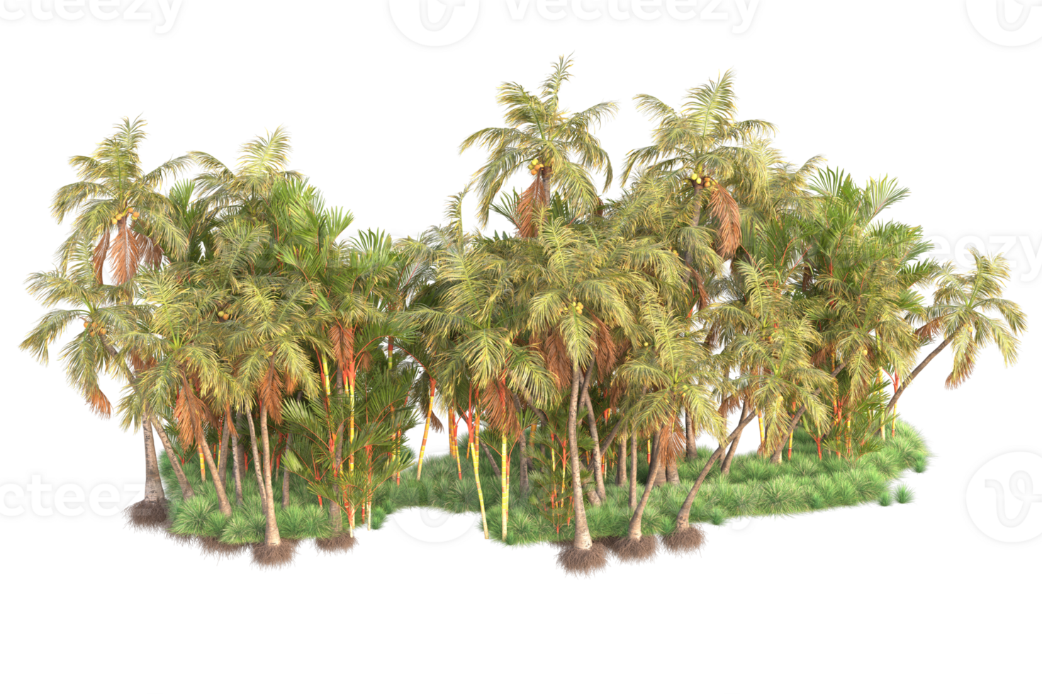 Tropical forest isolated on transparent background. 3d rendering - illustration png