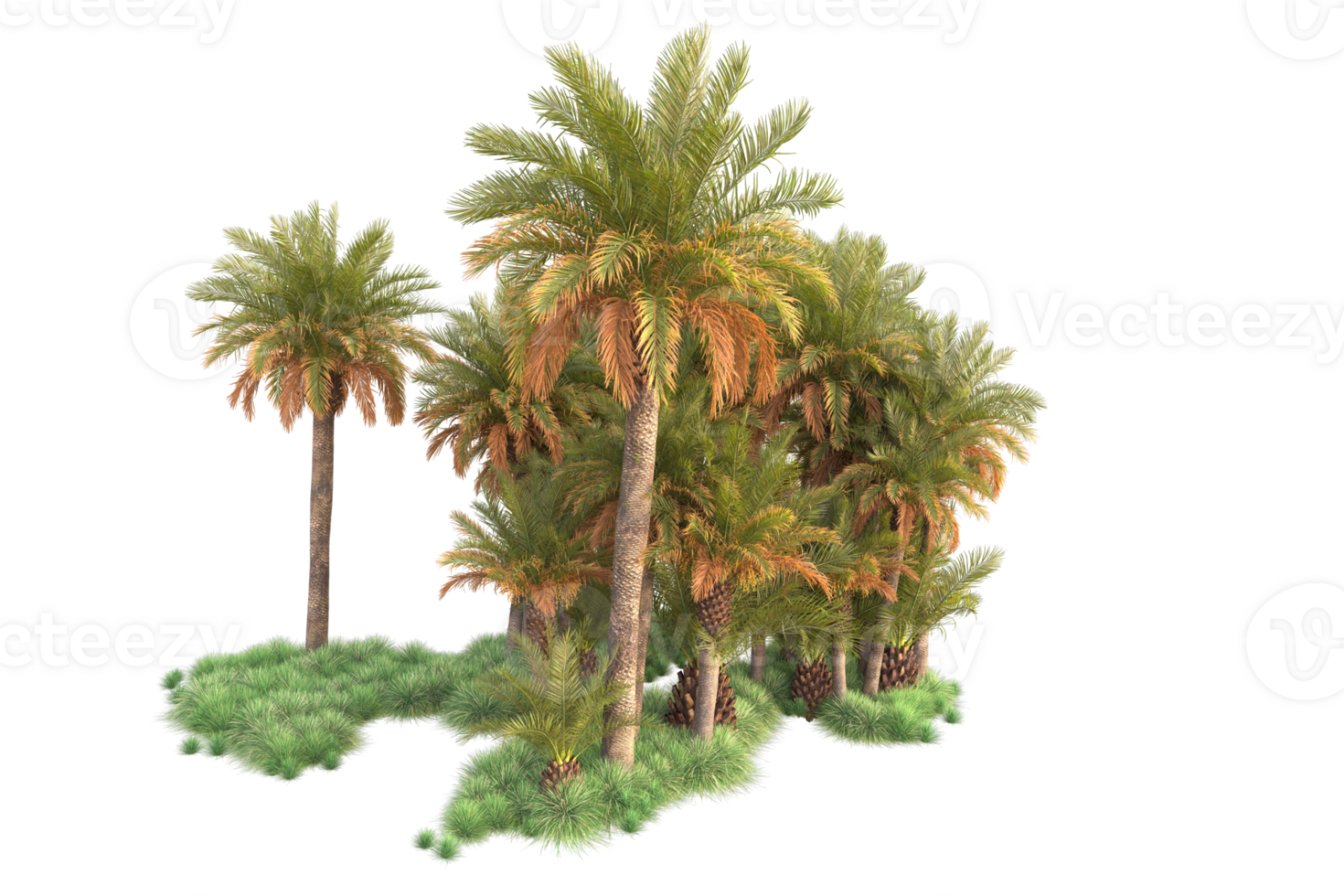 Tropical forest isolated on transparent background. 3d rendering - illustration png