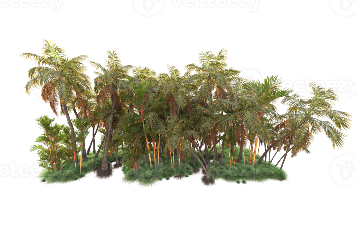 Tropical forest isolated on transparent background. 3d rendering - illustration png