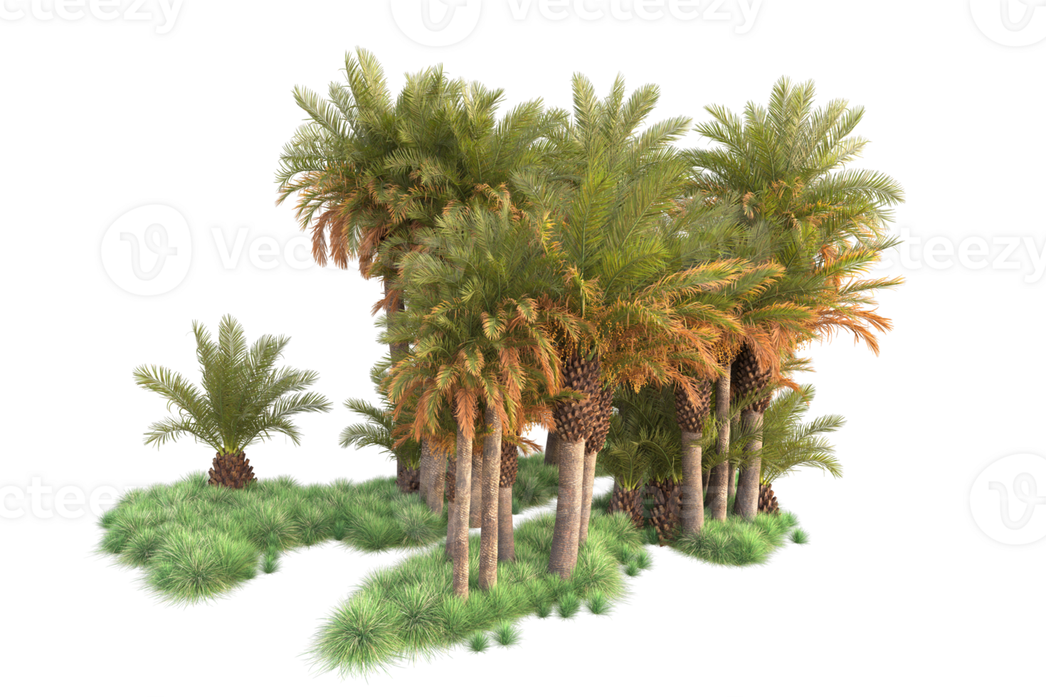 Tropical forest isolated on transparent background. 3d rendering - illustration png