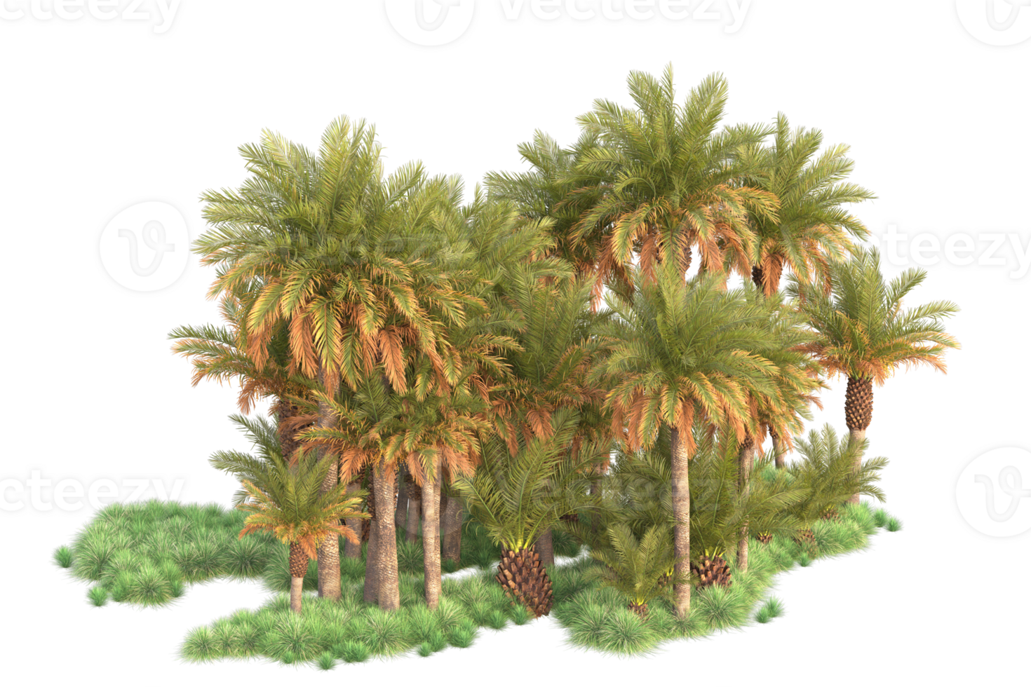 Tropical forest isolated on transparent background. 3d rendering - illustration png