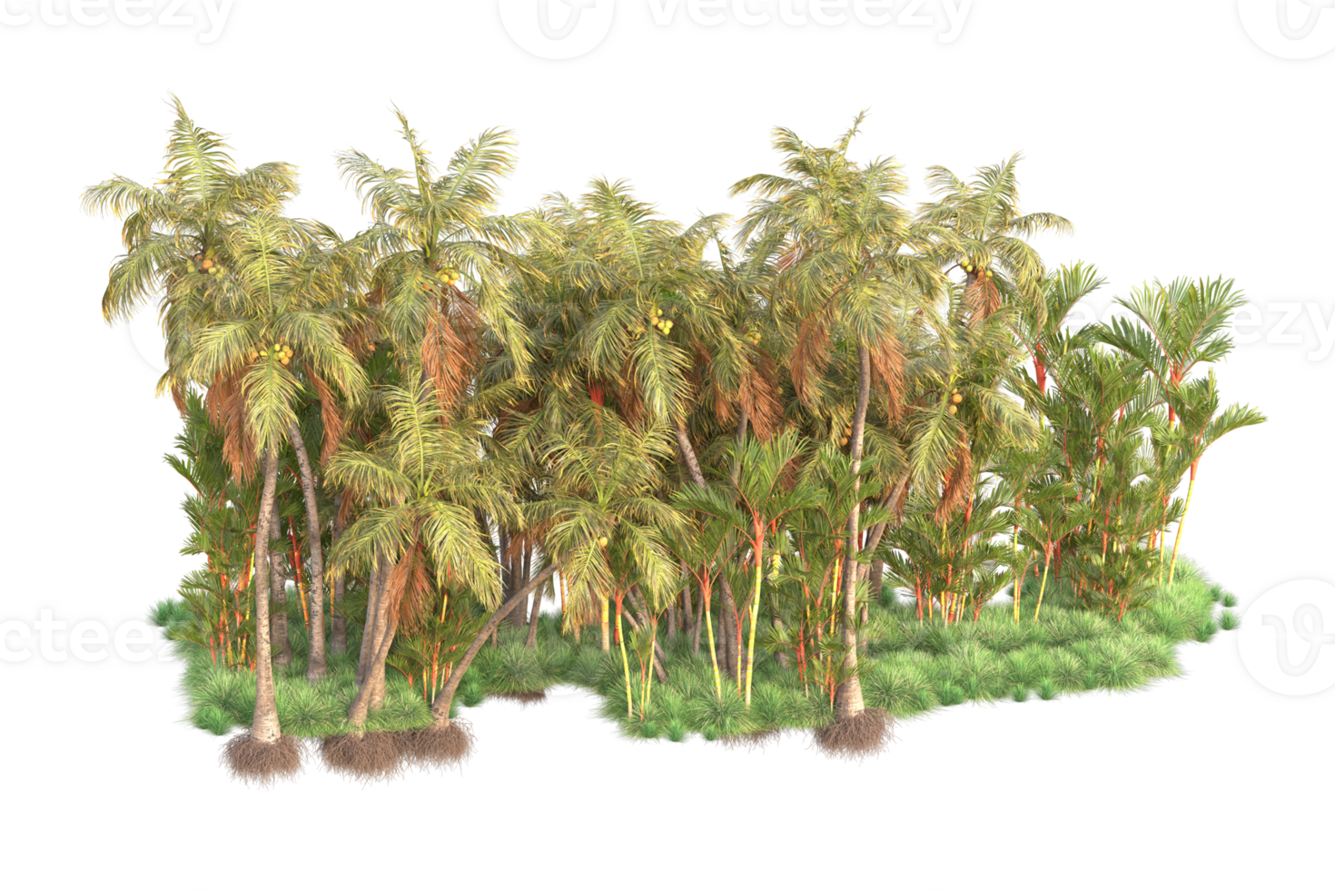 Tropical forest isolated on transparent background. 3d rendering - illustration png