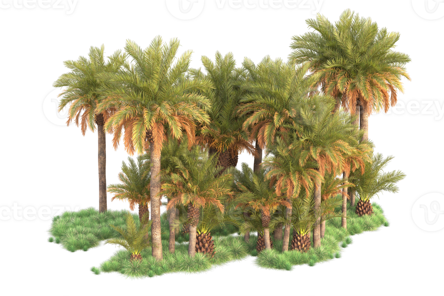 Tropical forest isolated on transparent background. 3d rendering - illustration png