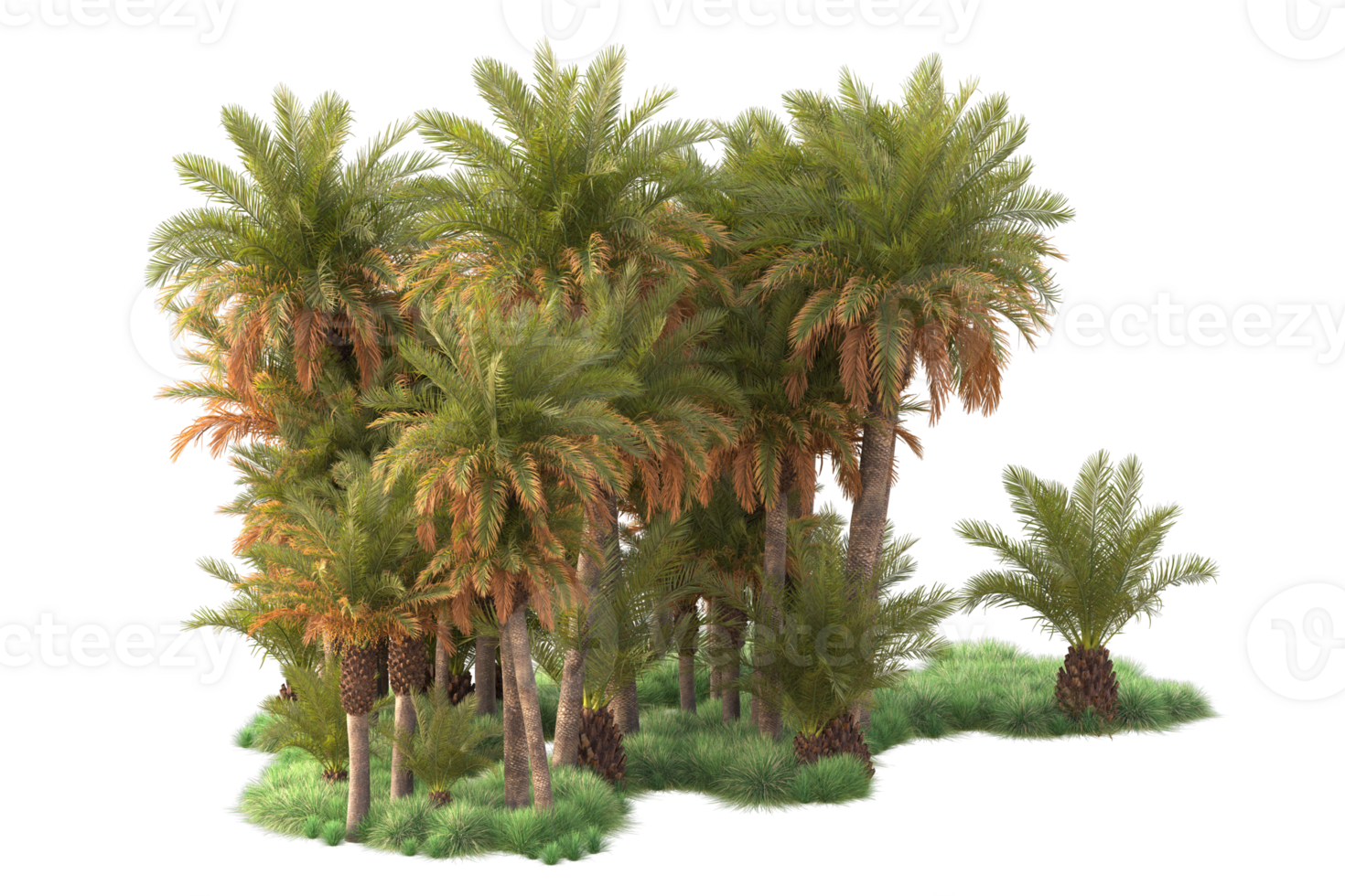 Tropical forest isolated on transparent background. 3d rendering - illustration png