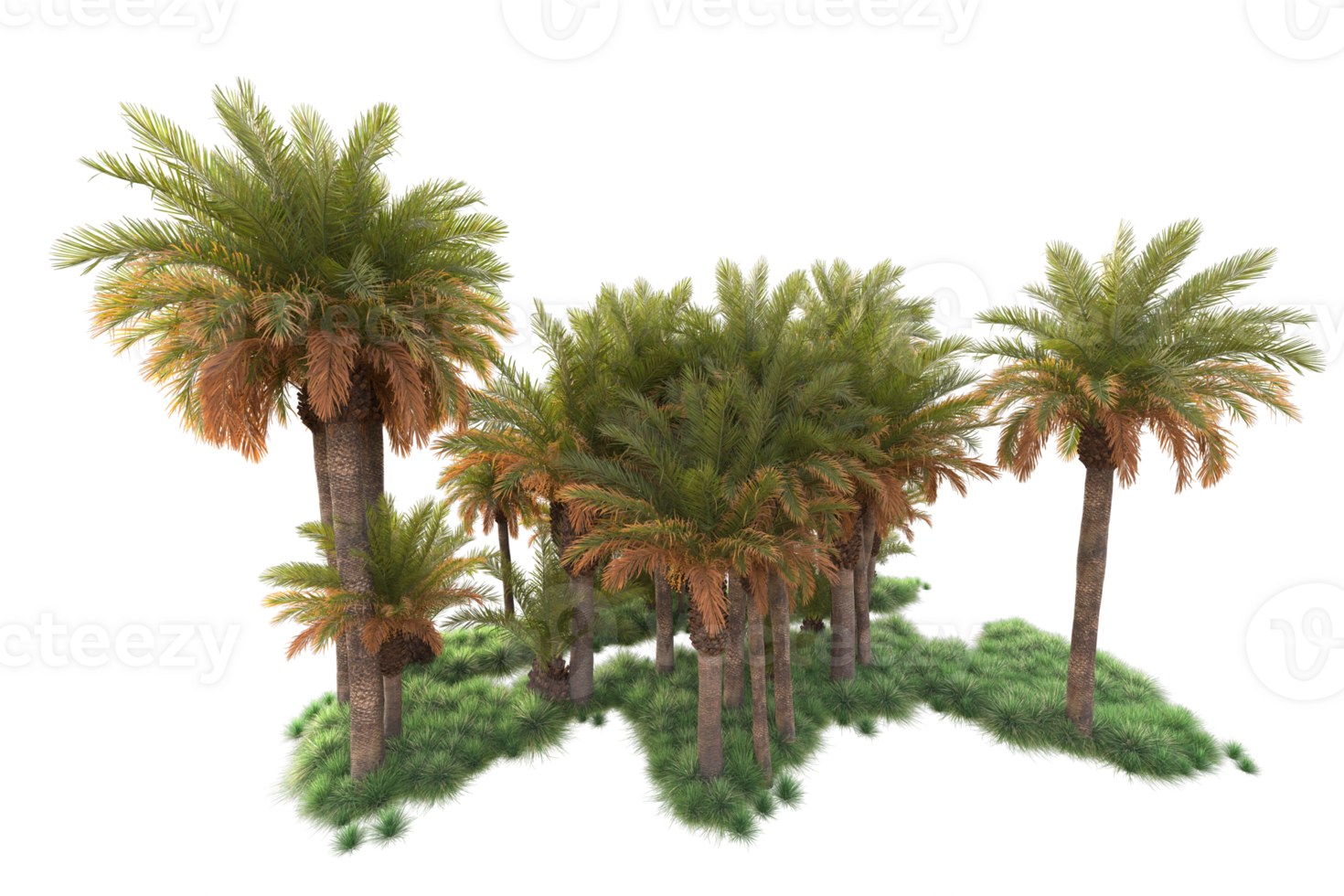 Tropical forest isolated on transparent background. 3d rendering - illustration png