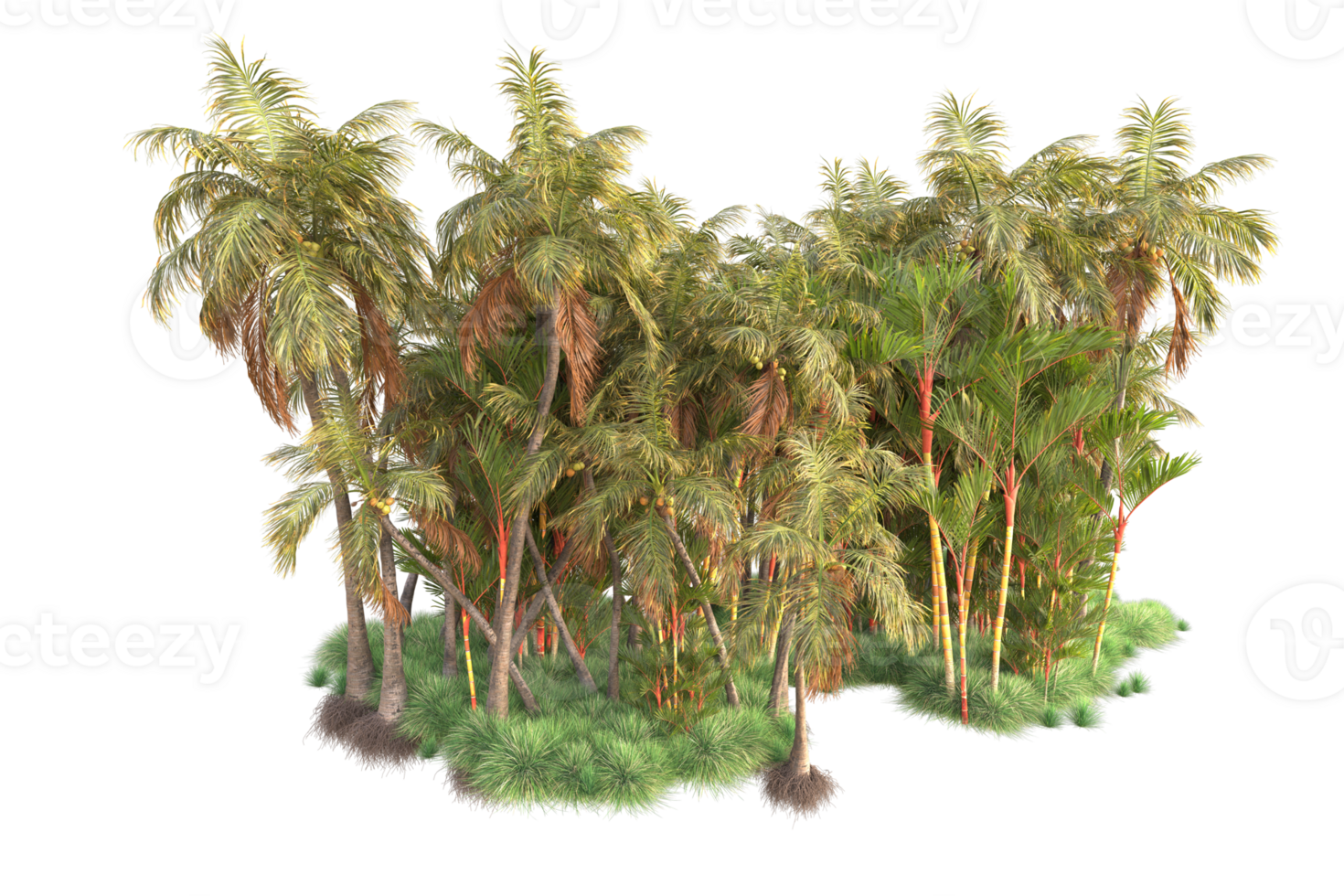 Tropical forest isolated on transparent background. 3d rendering - illustration png