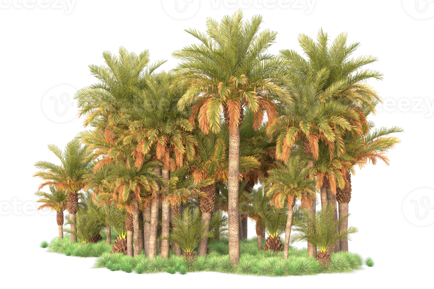 Tropical forest isolated on transparent background. 3d rendering - illustration png