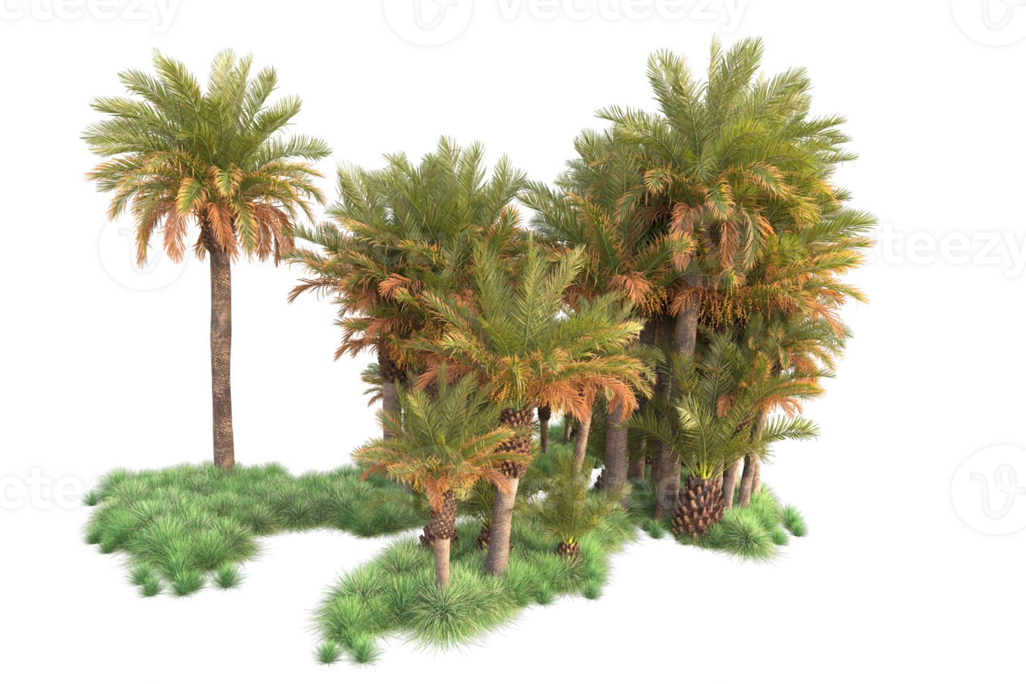 Tropical forest isolated on transparent background. 3d rendering - illustration png
