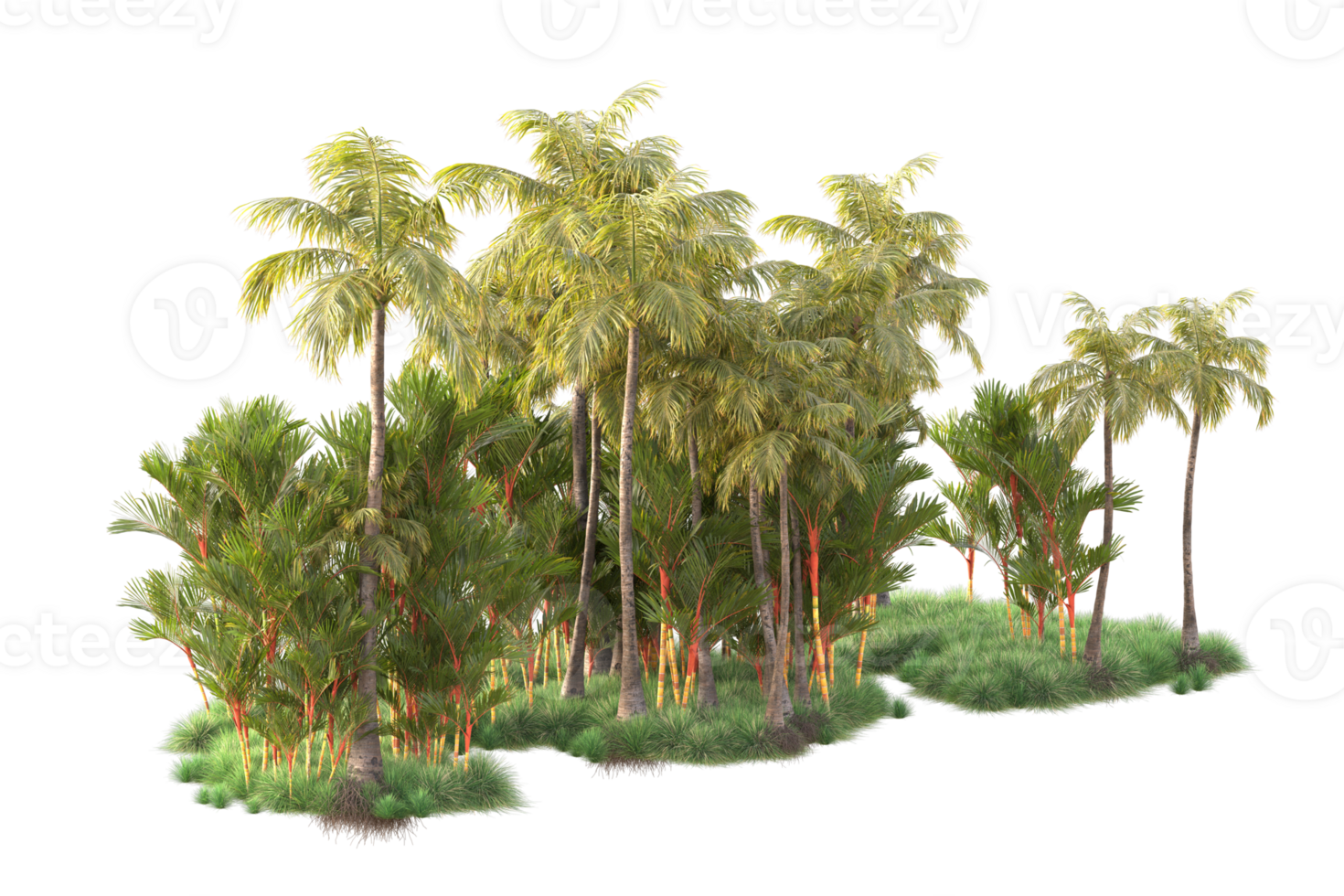 Tropical forest isolated on transparent background. 3d rendering - illustration png