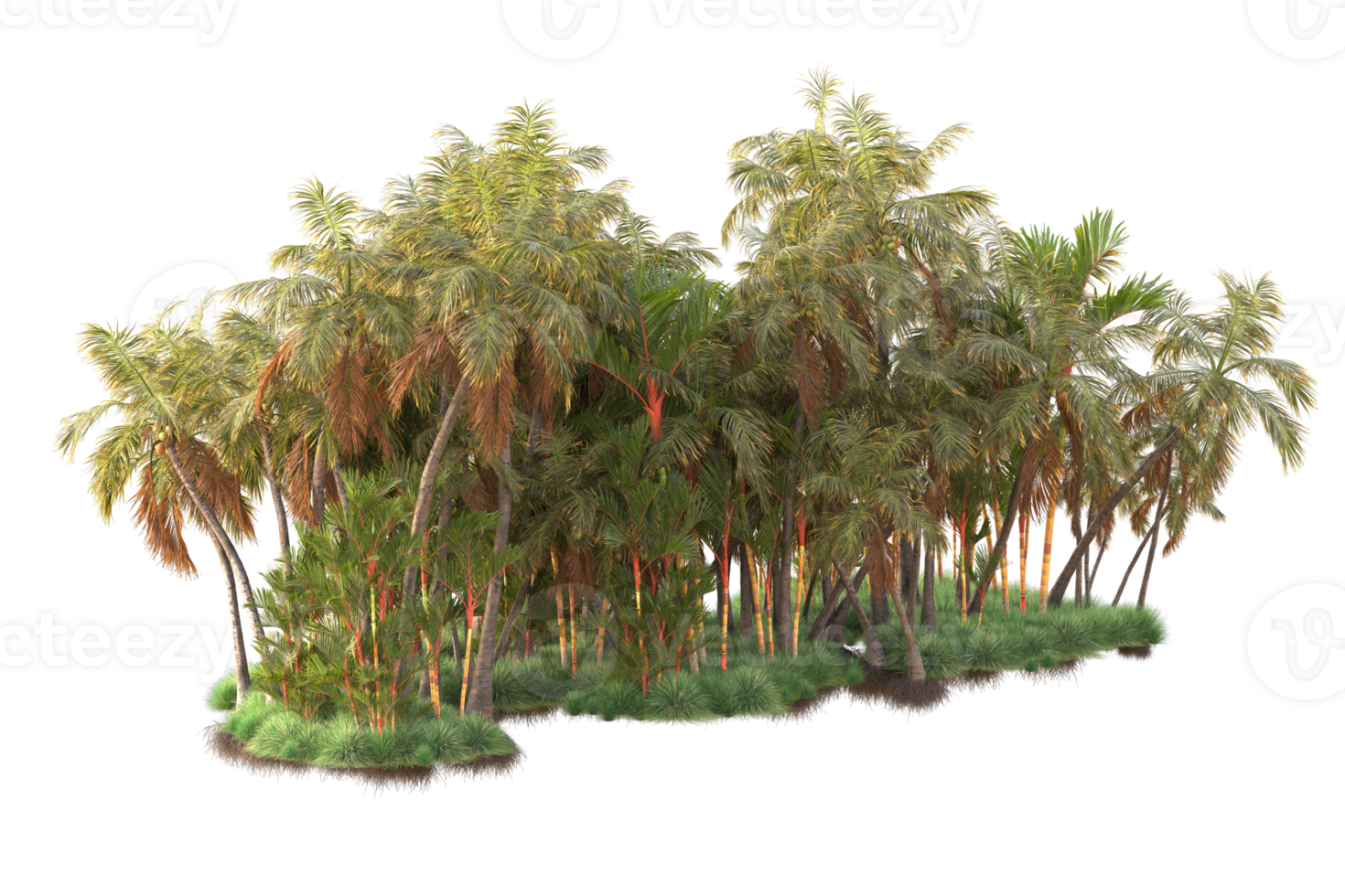 Tropical forest isolated on transparent background. 3d rendering - illustration png