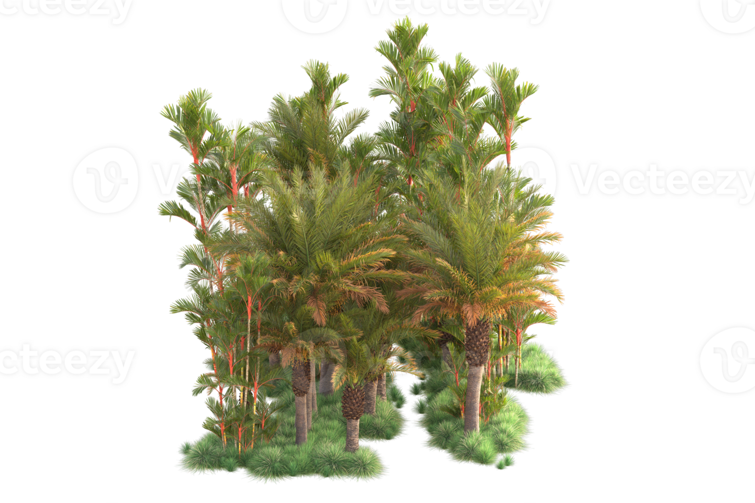 Tropical forest isolated on transparent background. 3d rendering - illustration png