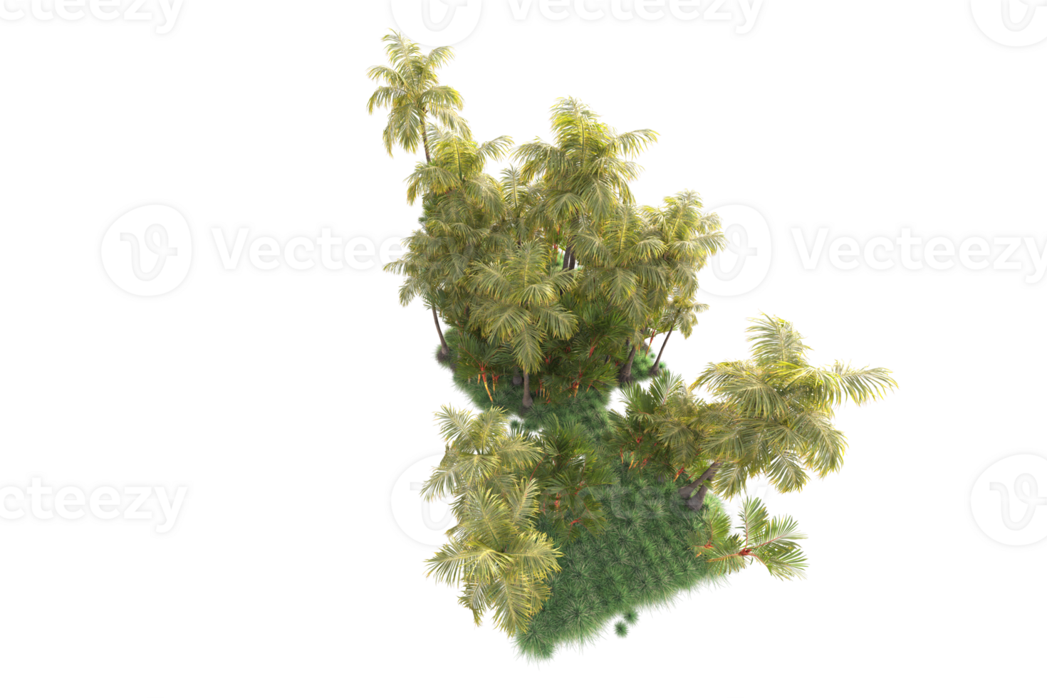 Tropical forest isolated on transparent background. 3d rendering - illustration png