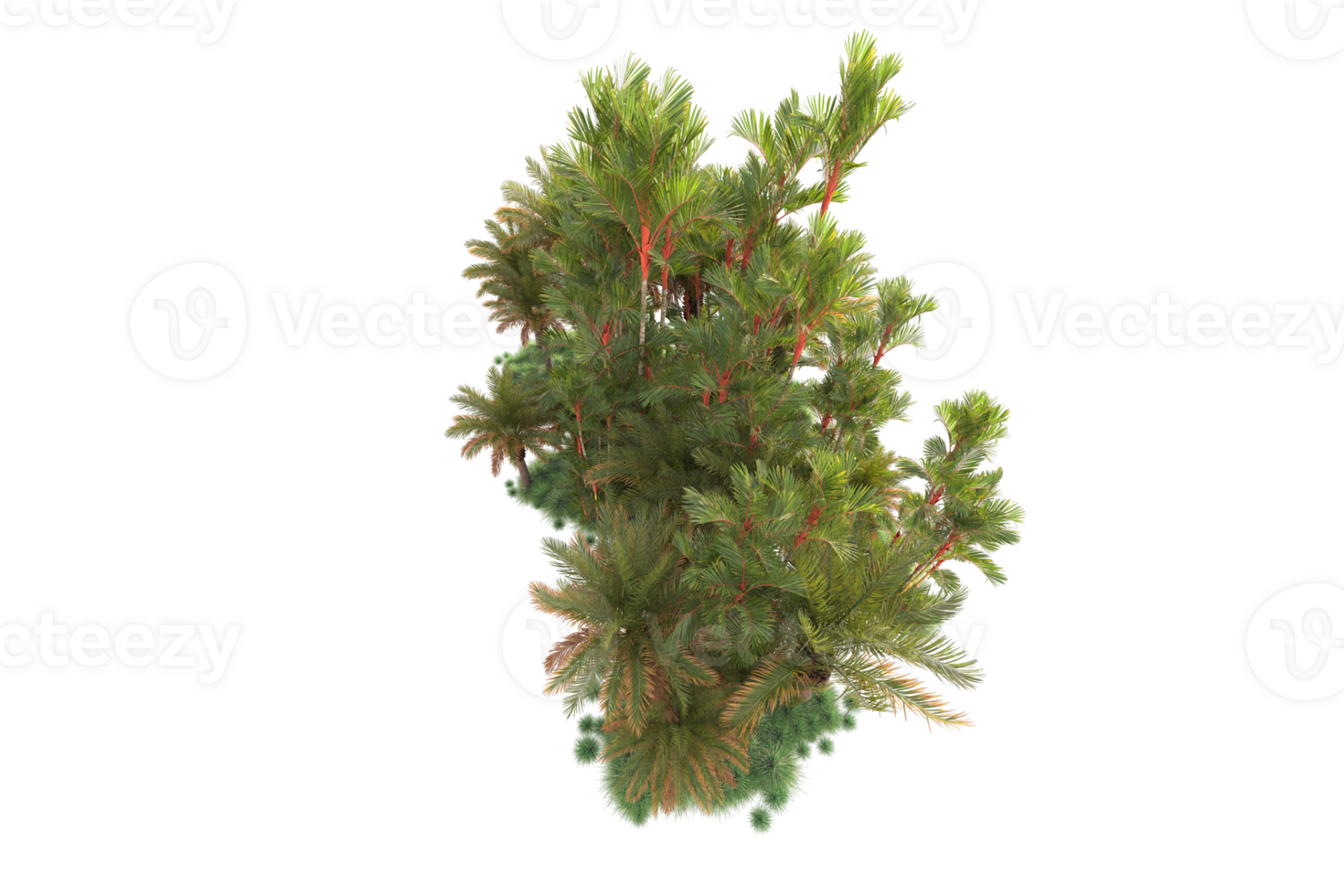 Tropical forest isolated on transparent background. 3d rendering - illustration png