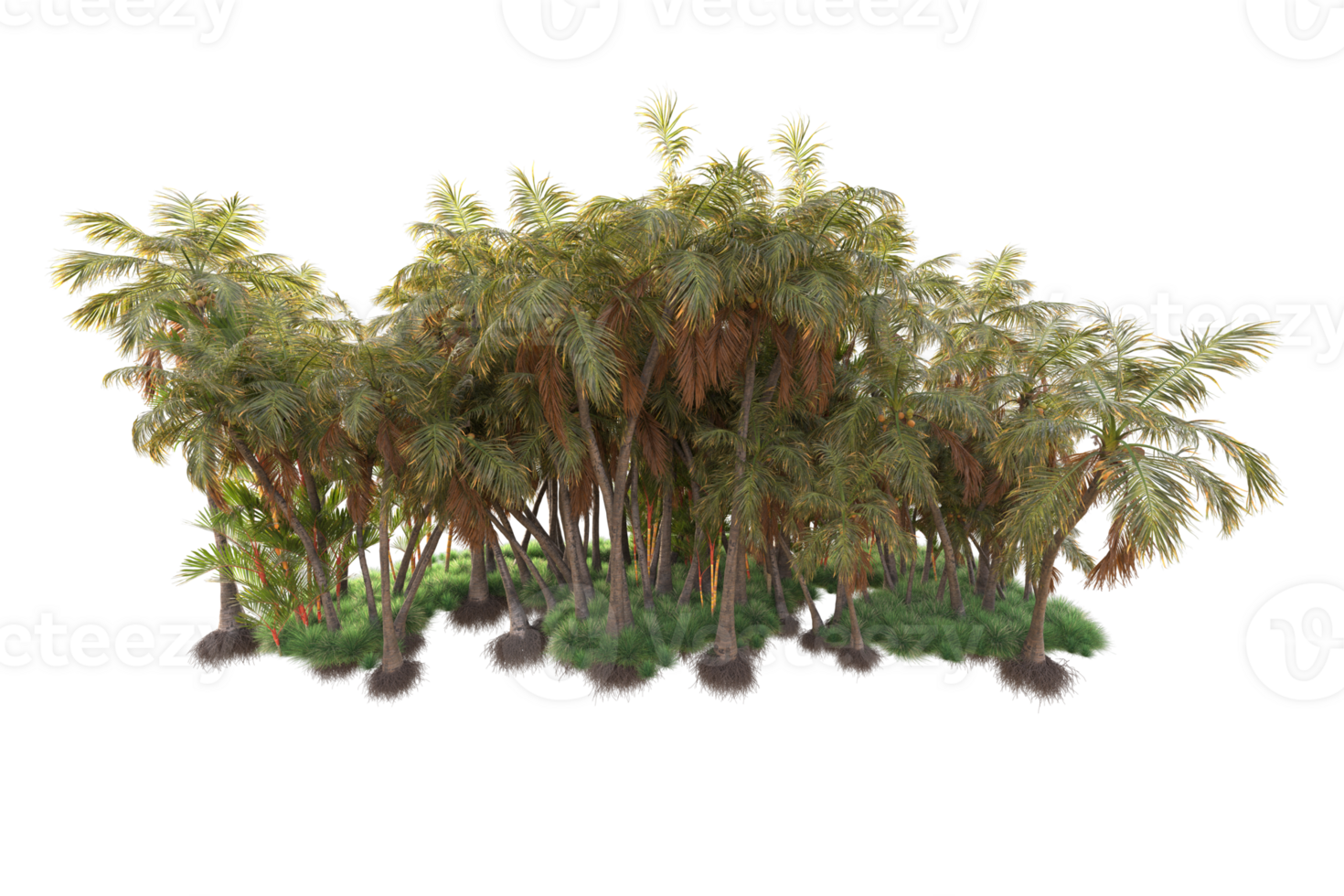 Tropical forest isolated on transparent background. 3d rendering - illustration png