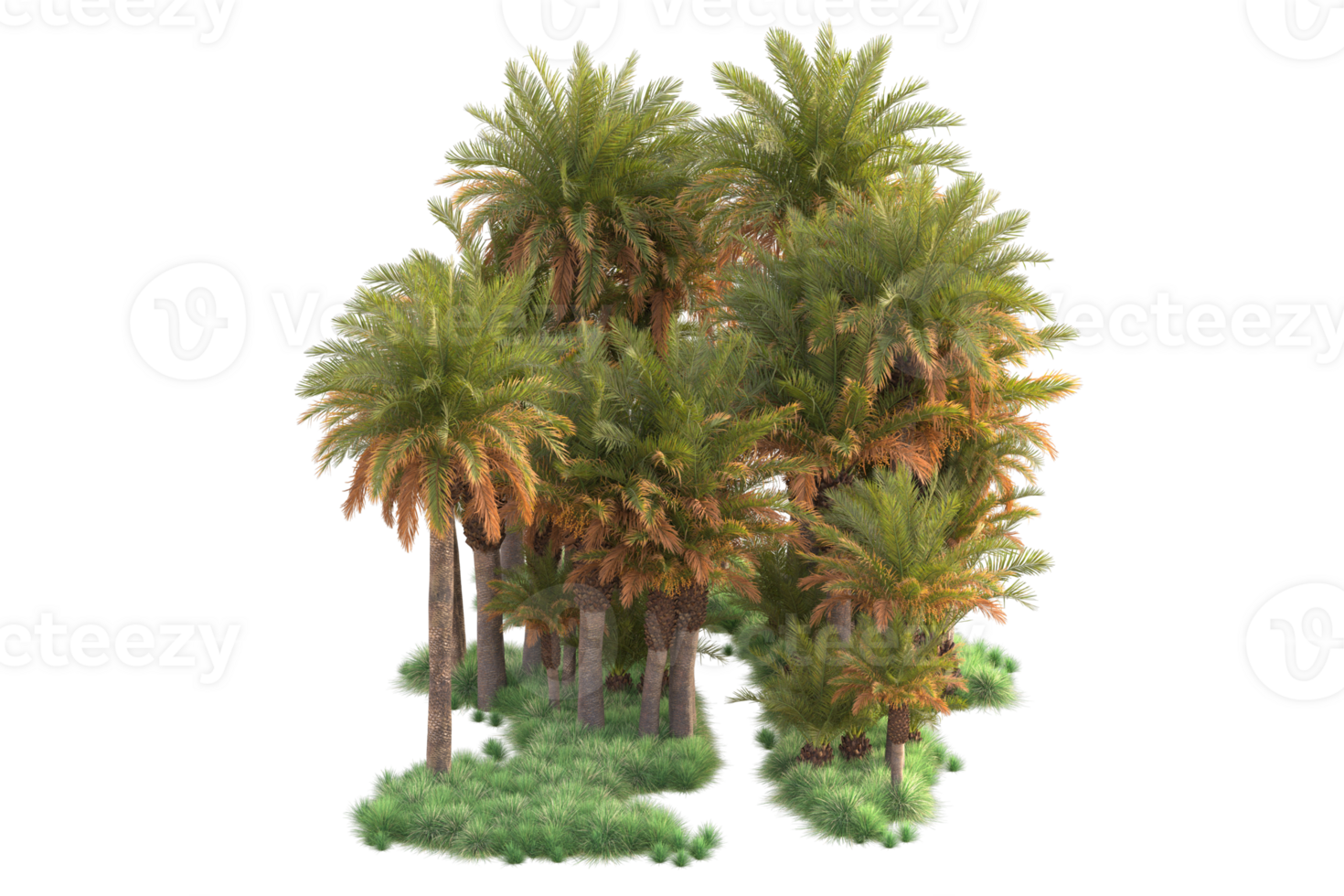 Tropical forest isolated on transparent background. 3d rendering - illustration png