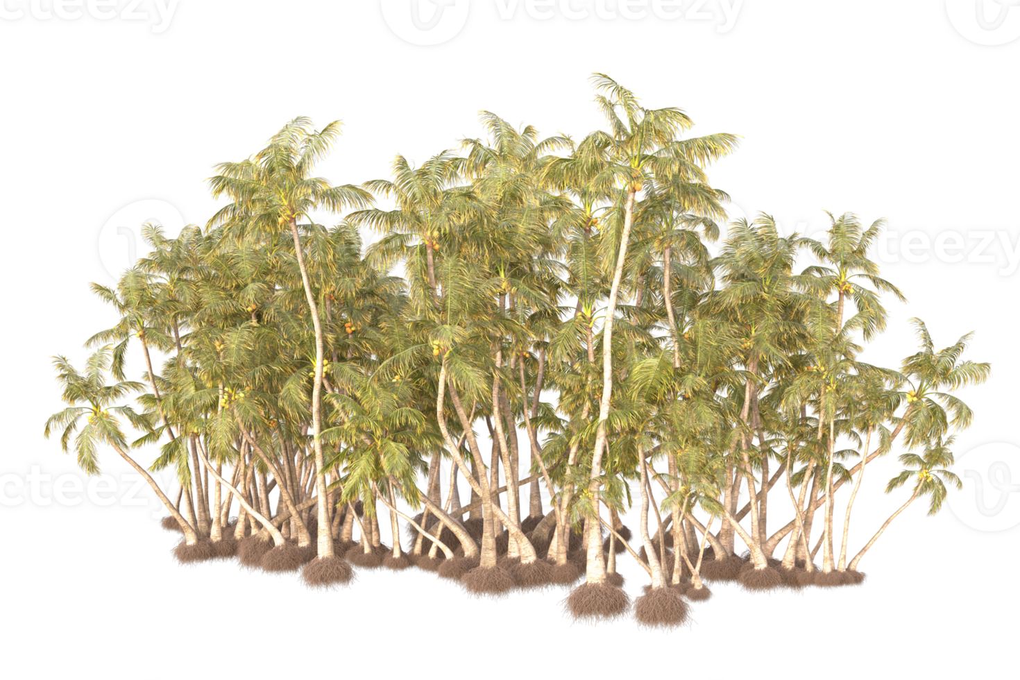 Tropical forest isolated on transparent background. 3d rendering - illustration png