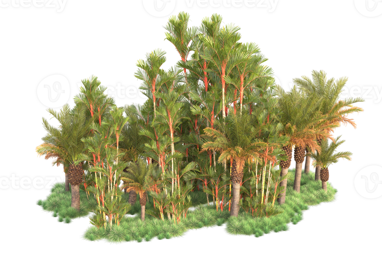 Tropical forest isolated on transparent background. 3d rendering - illustration png