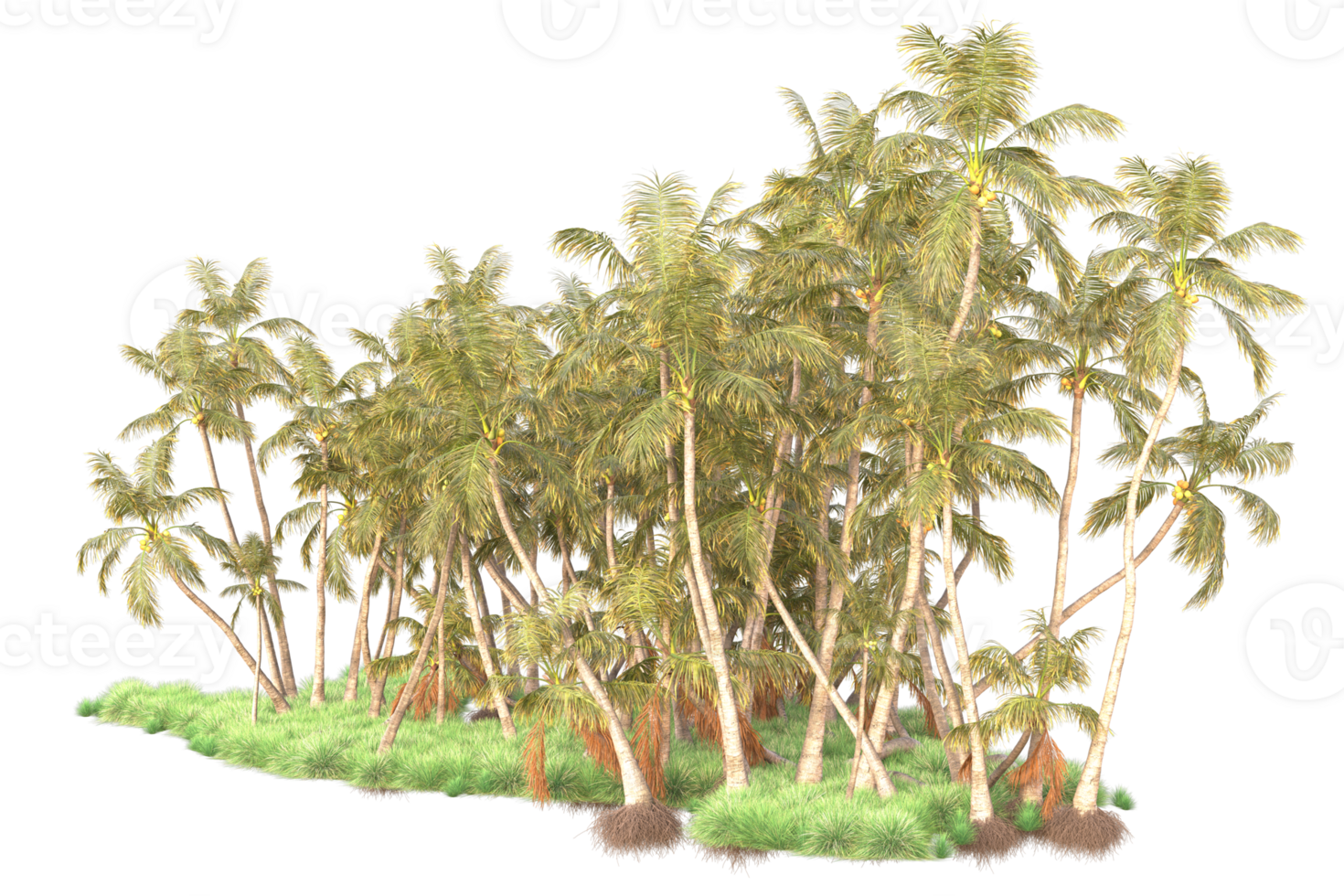Tropical forest isolated on transparent background. 3d rendering - illustration png