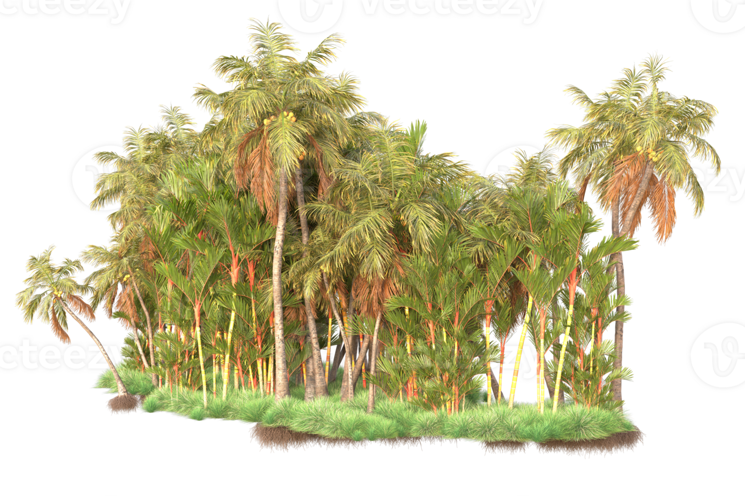 Tropical forest isolated on transparent background. 3d rendering - illustration png