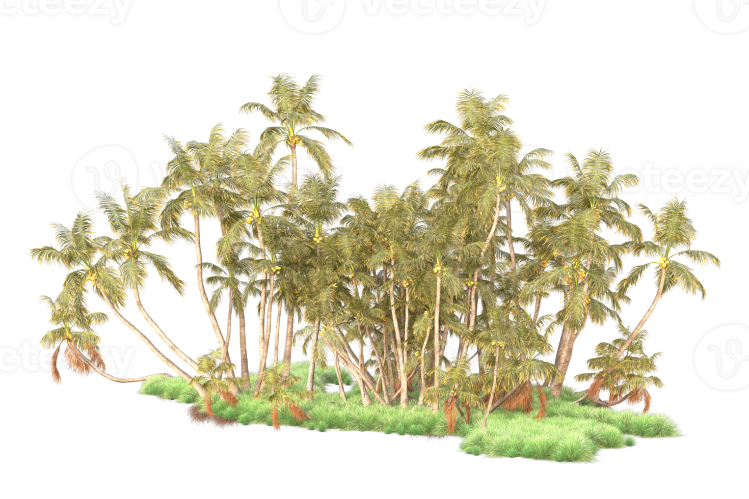 Tropical forest isolated on transparent background. 3d rendering - illustration png