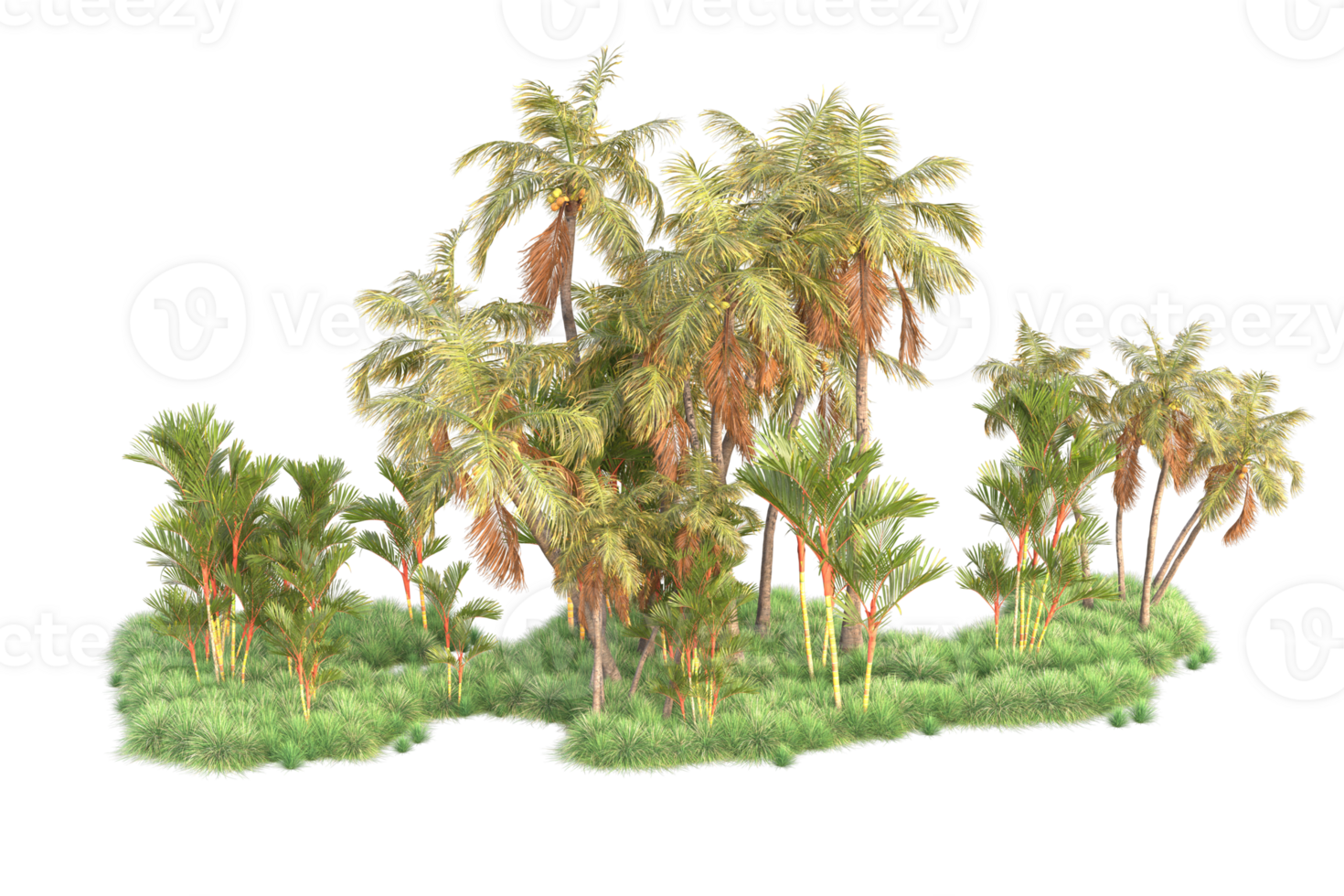 Tropical forest isolated on transparent background. 3d rendering - illustration png