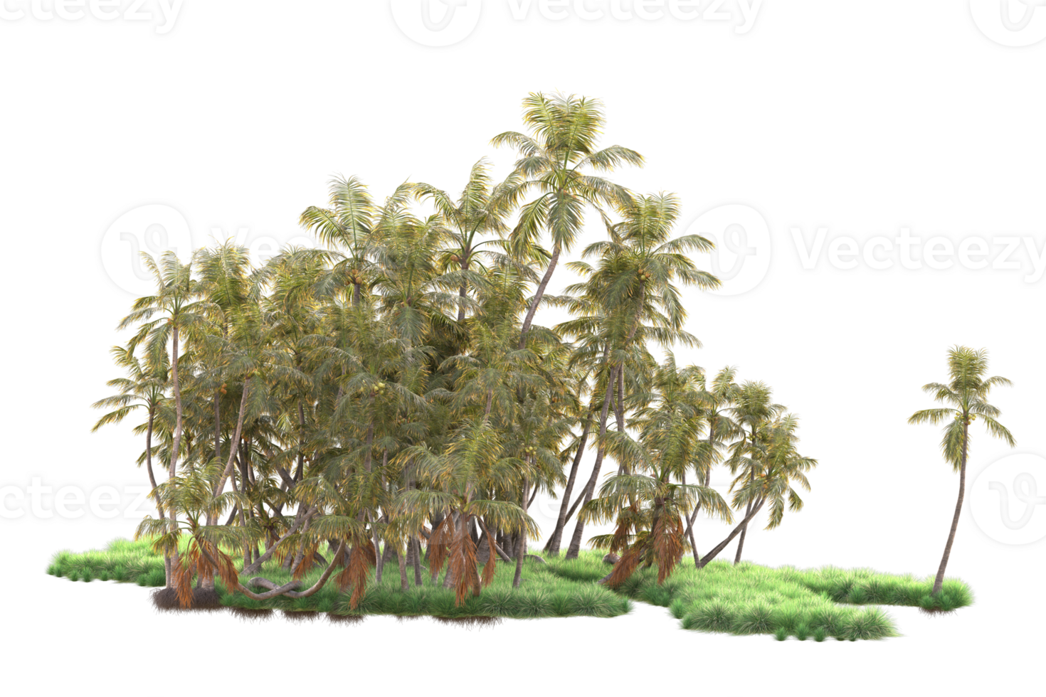 Tropical forest isolated on transparent background. 3d rendering - illustration png