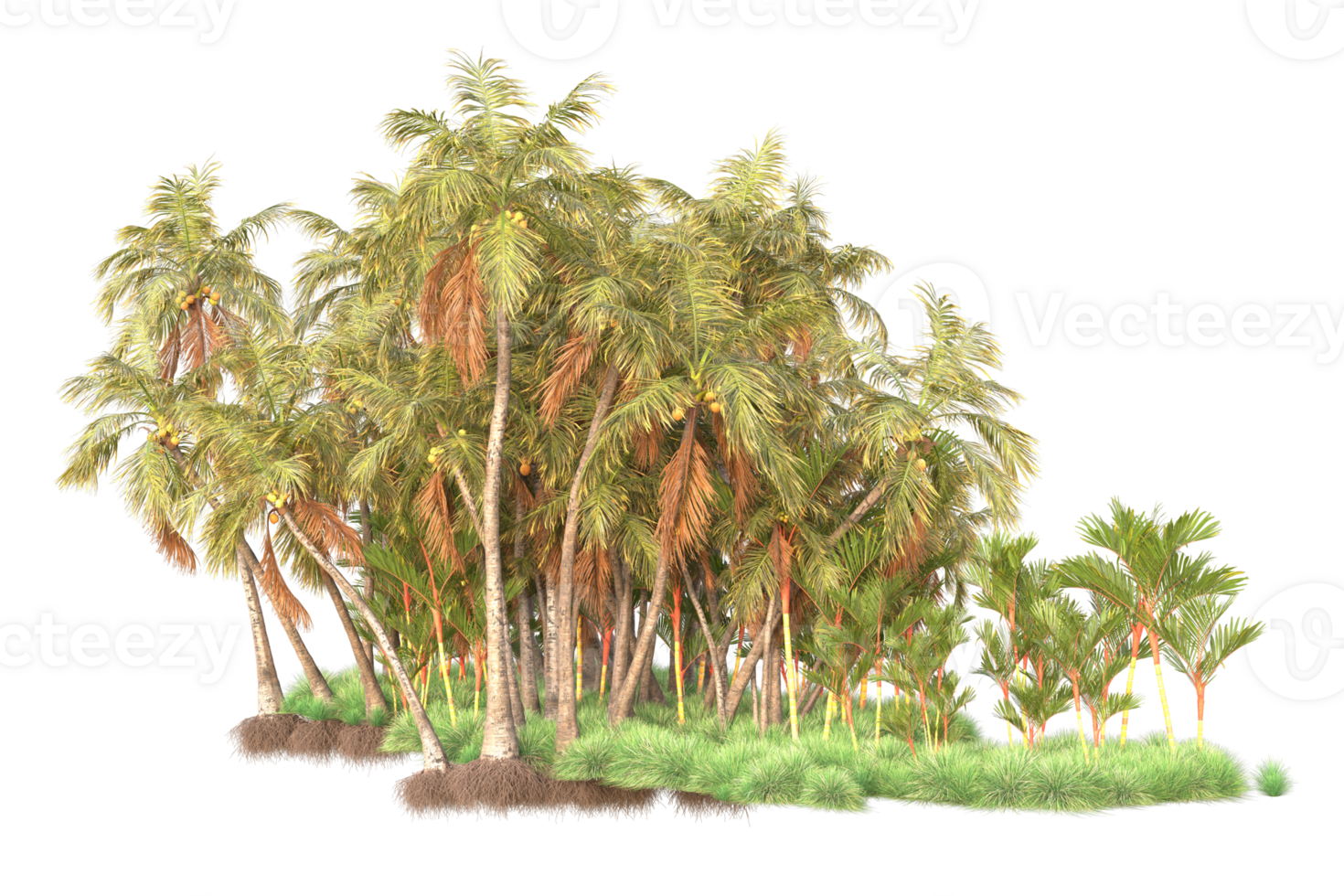Tropical forest isolated on transparent background. 3d rendering - illustration png