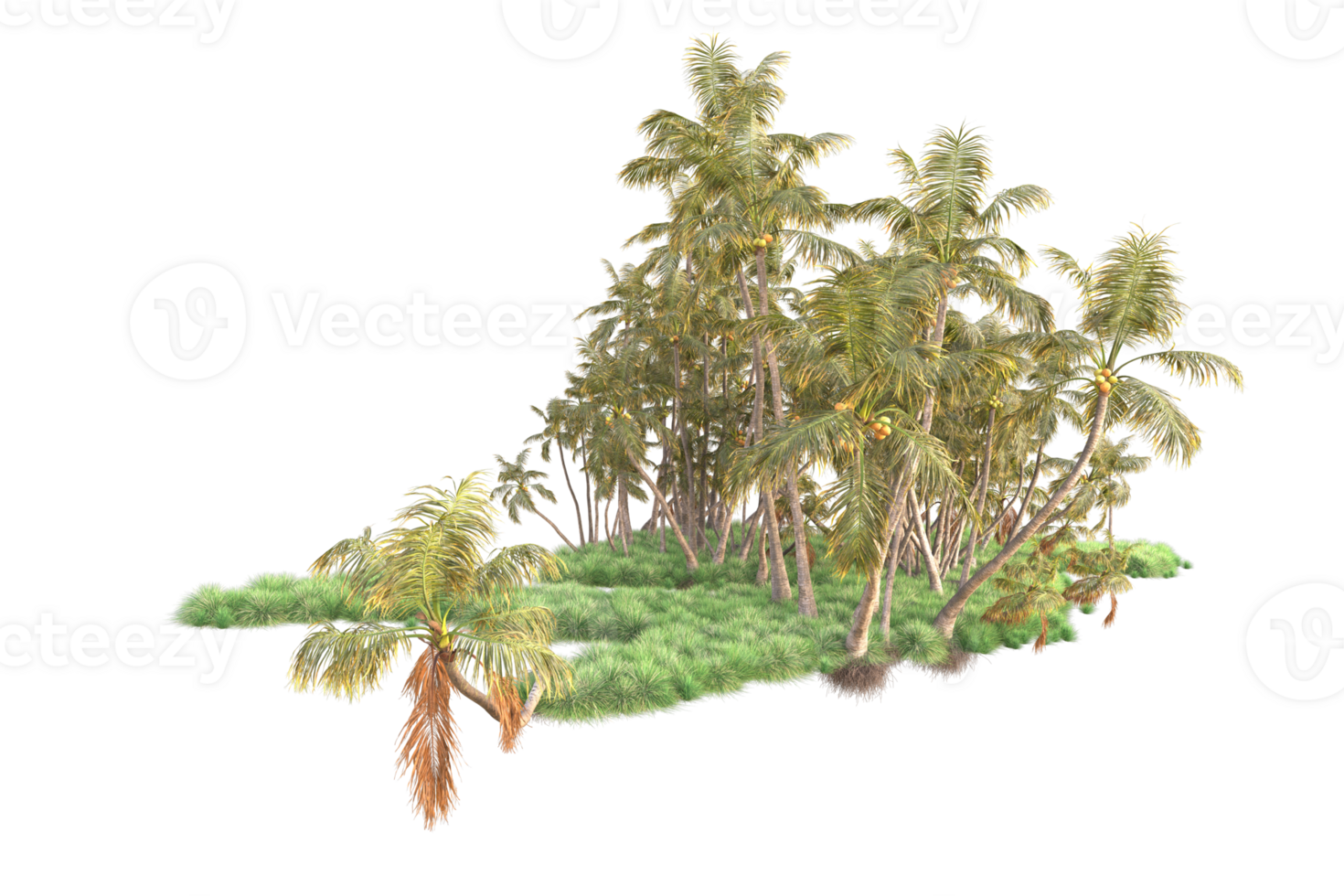 Tropical forest isolated on transparent background. 3d rendering - illustration png