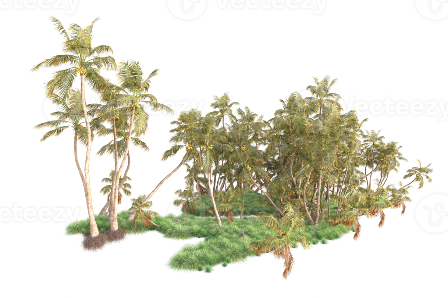 Tropical forest isolated on transparent background. 3d rendering - illustration png