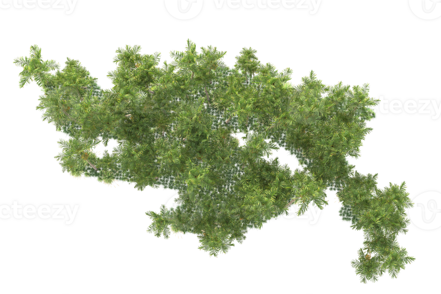 Tropical forest isolated on transparent background. 3d rendering - illustration png