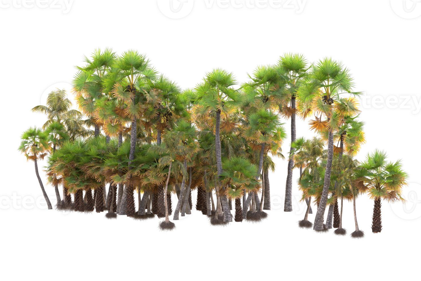 Tropical forest isolated on transparent background. 3d rendering - illustration png