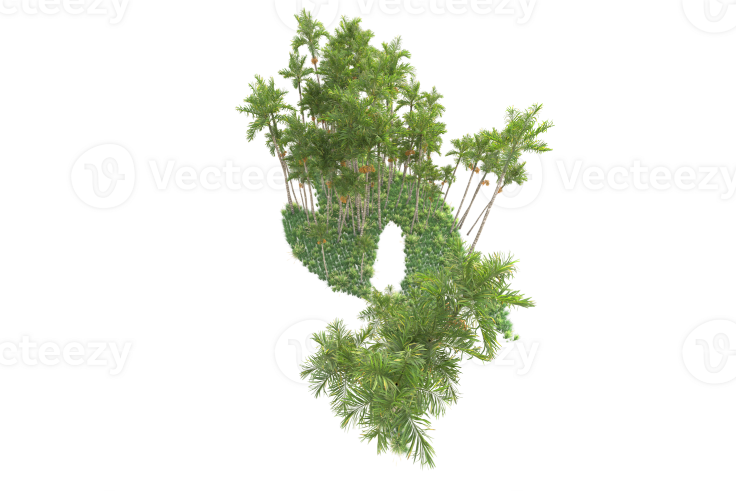 Tropical forest isolated on transparent background. 3d rendering - illustration png