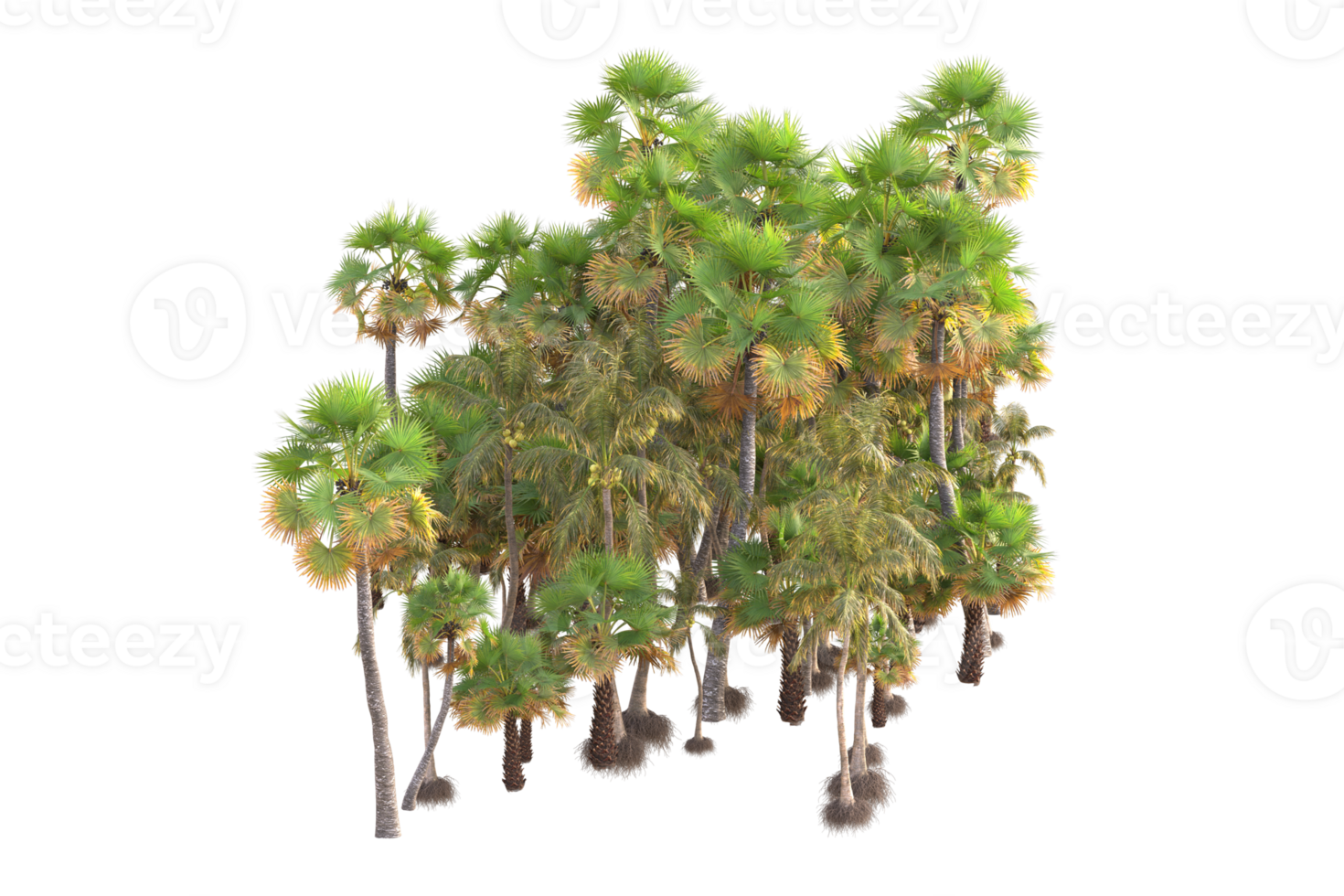 Tropical forest isolated on transparent background. 3d rendering - illustration png