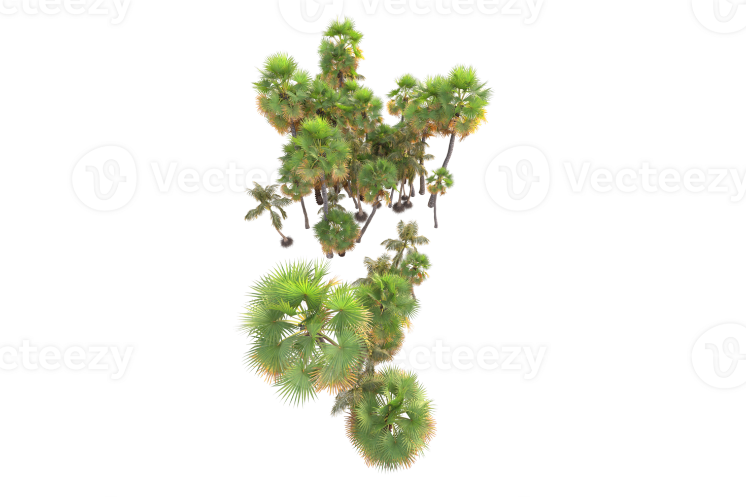 Tropical forest isolated on transparent background. 3d rendering - illustration png
