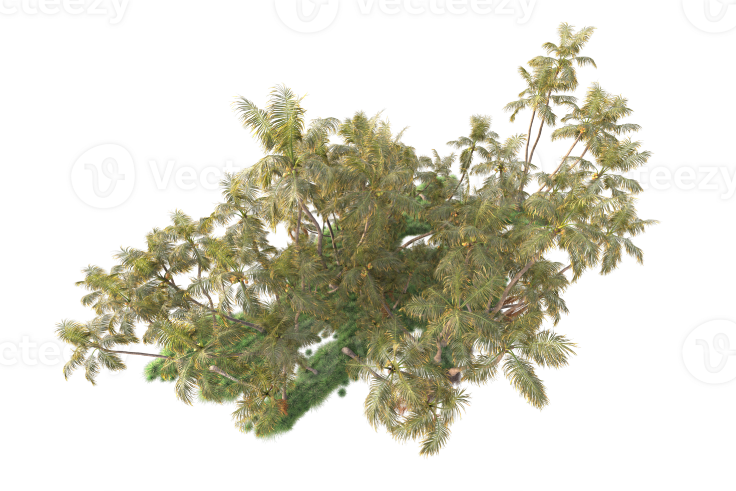 Tropical forest isolated on transparent background. 3d rendering - illustration png