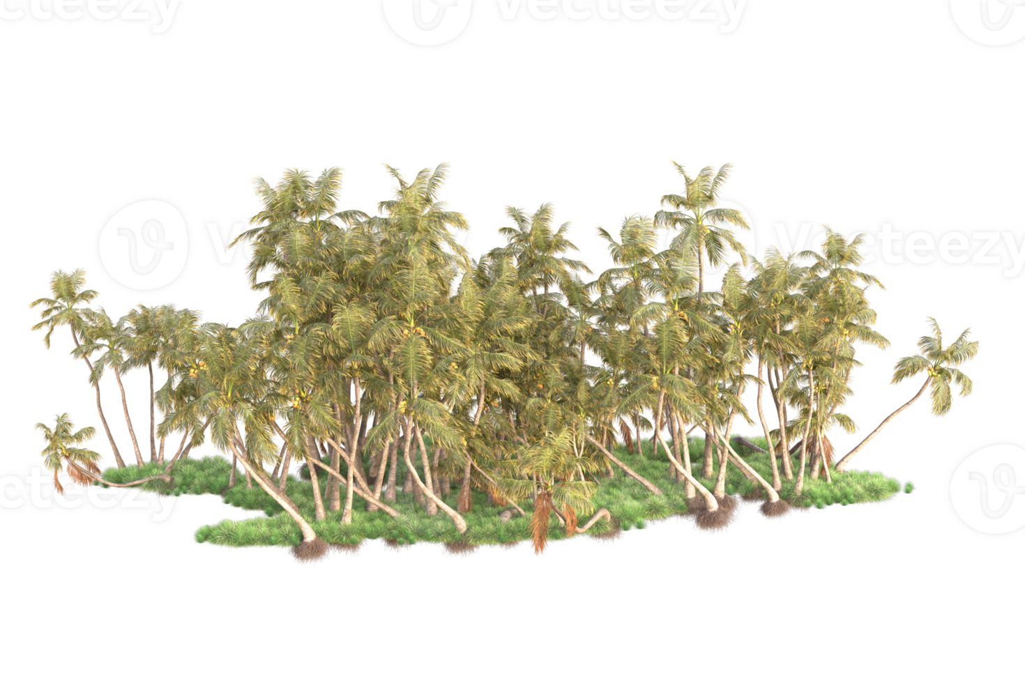 Tropical forest isolated on transparent background. 3d rendering - illustration png