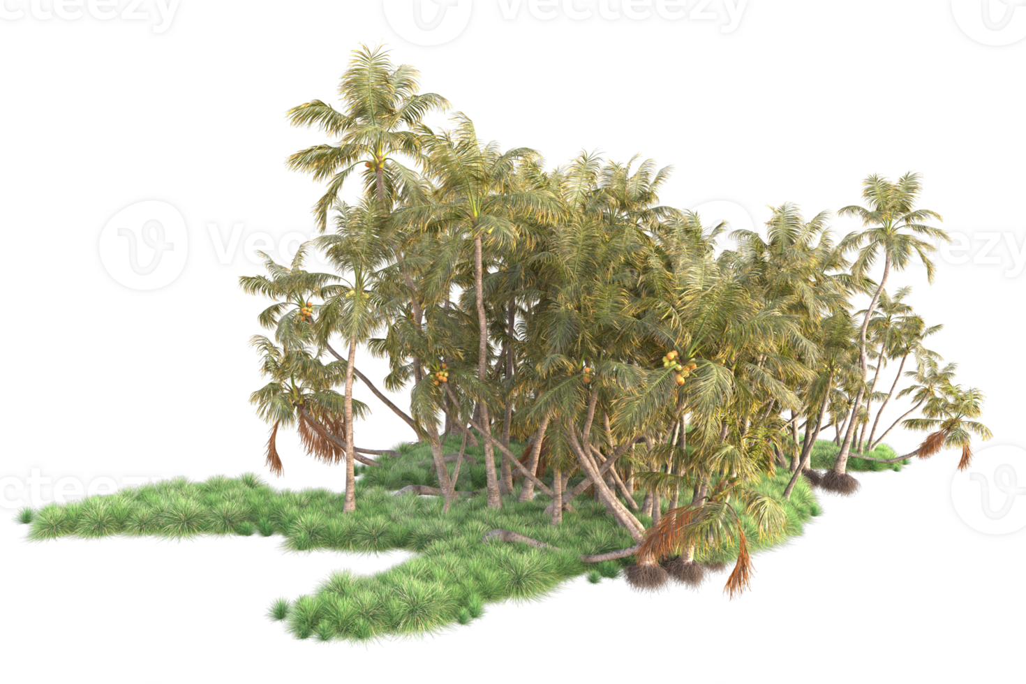 Tropical forest isolated on transparent background. 3d rendering - illustration png