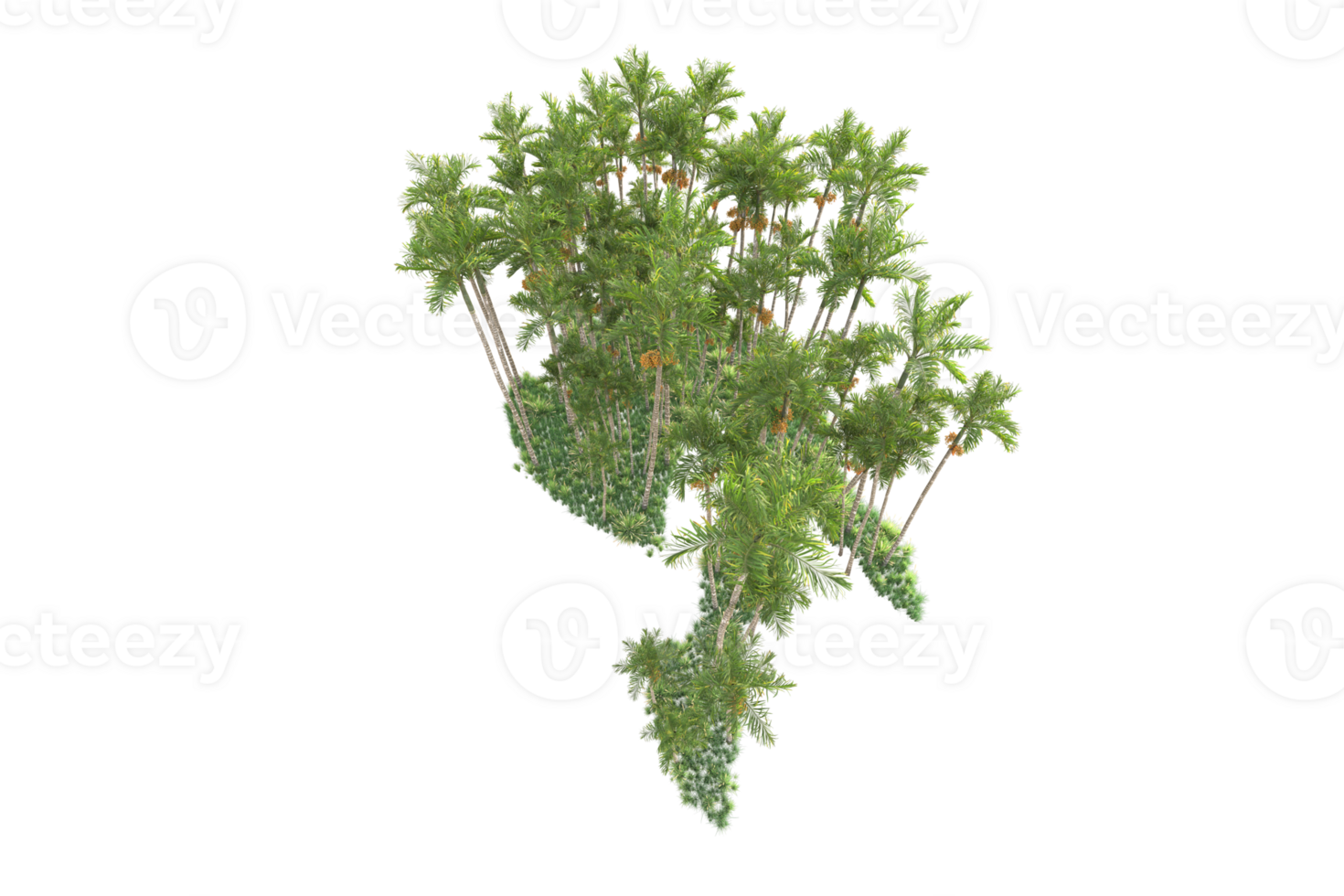 Tropical forest isolated on transparent background. 3d rendering - illustration png