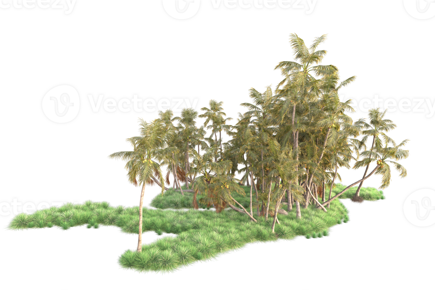Tropical forest isolated on transparent background. 3d rendering - illustration png