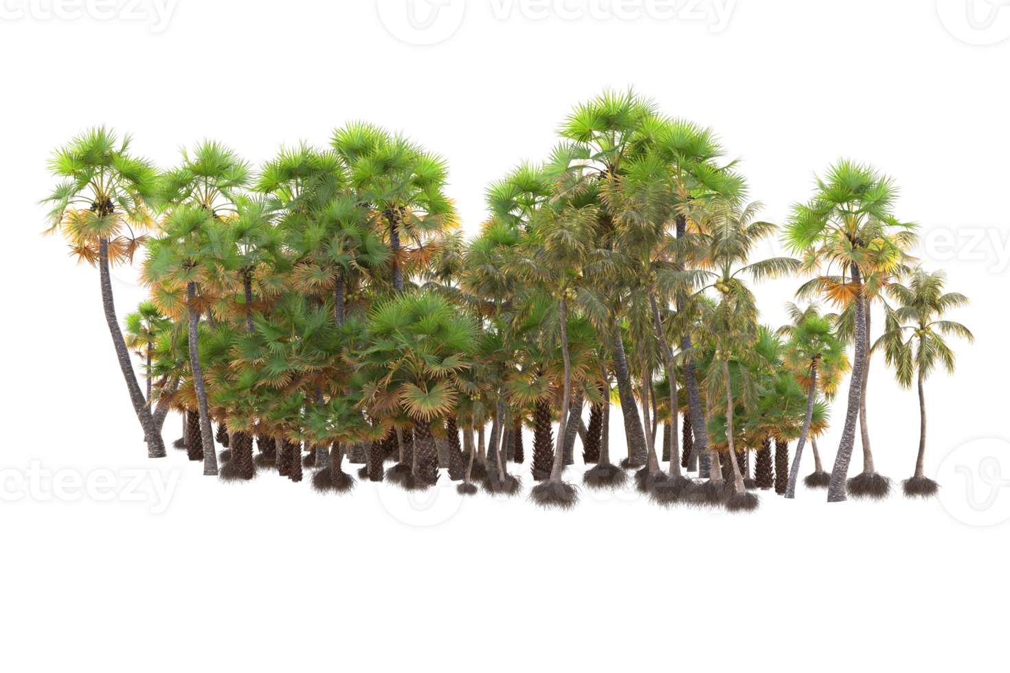 Tropical forest isolated on transparent background. 3d rendering - illustration png