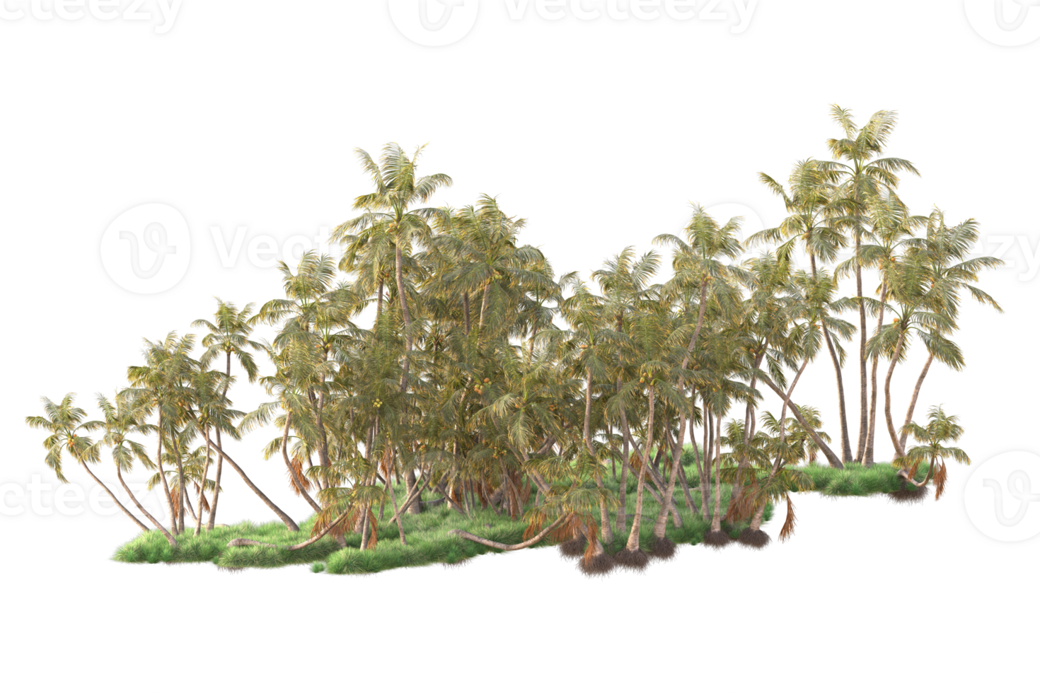 Tropical forest isolated on transparent background. 3d rendering - illustration png