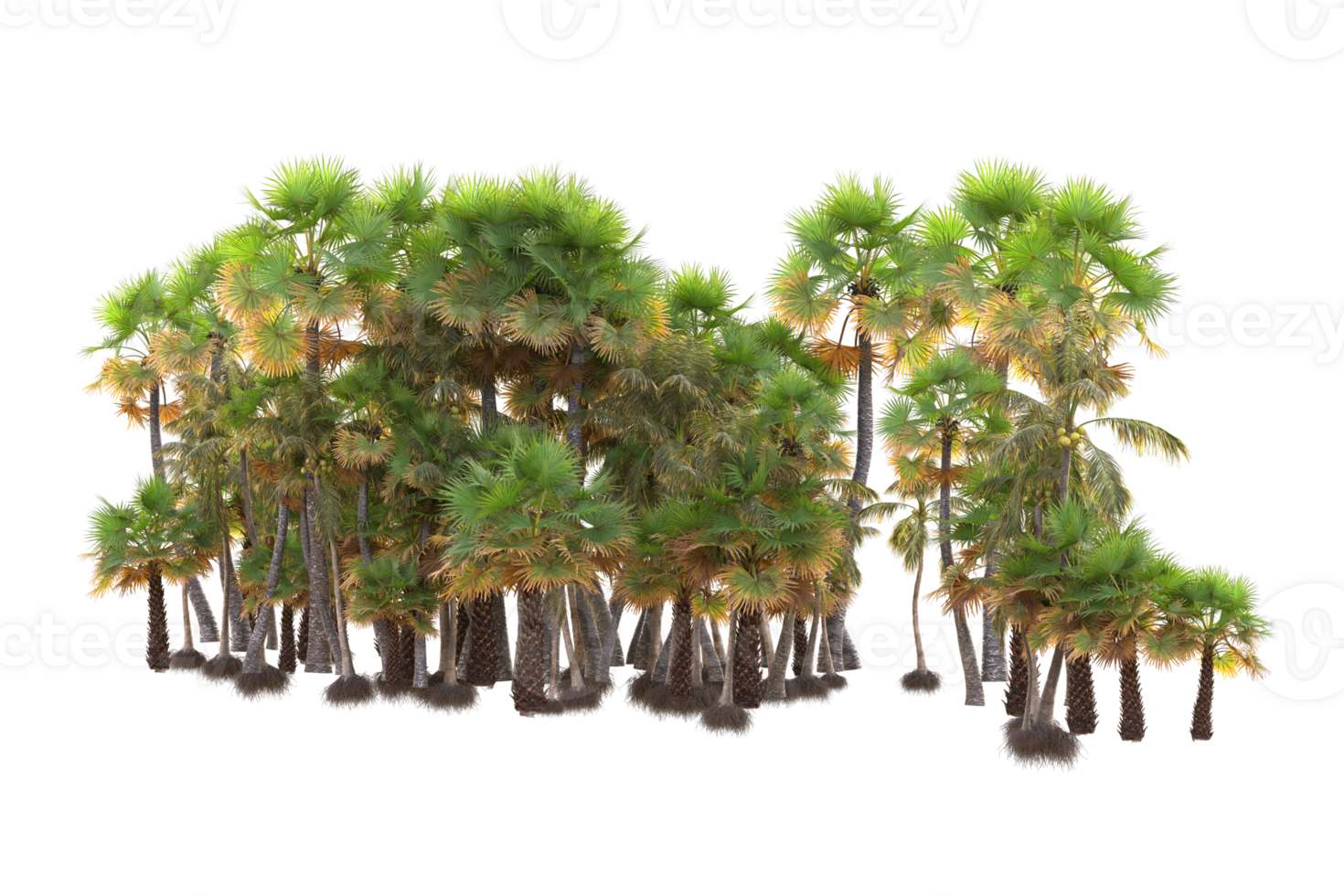 Tropical forest isolated on transparent background. 3d rendering - illustration png