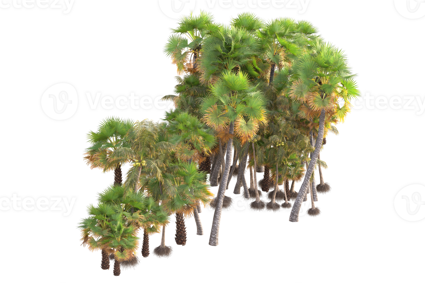 Tropical forest isolated on transparent background. 3d rendering - illustration png
